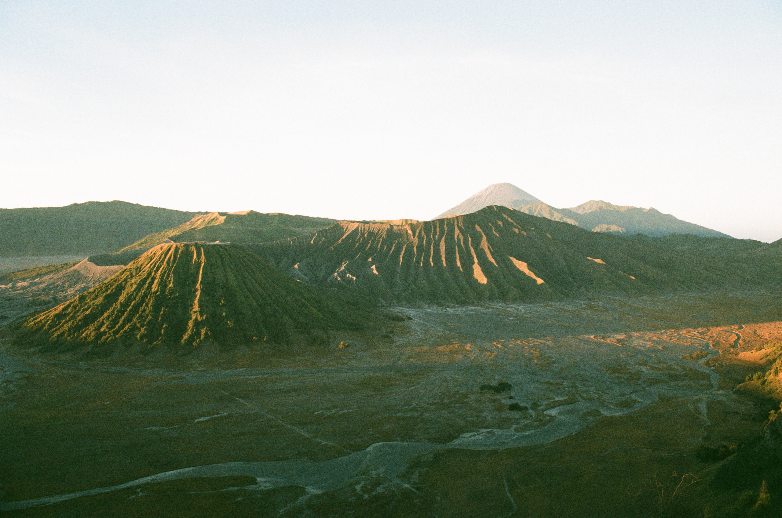 Плёнка. Артем Пучков
