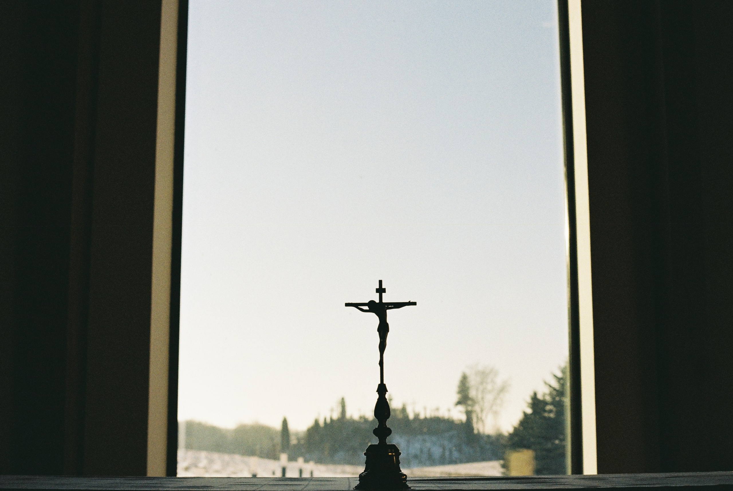 Плёнка. Артем Пучков