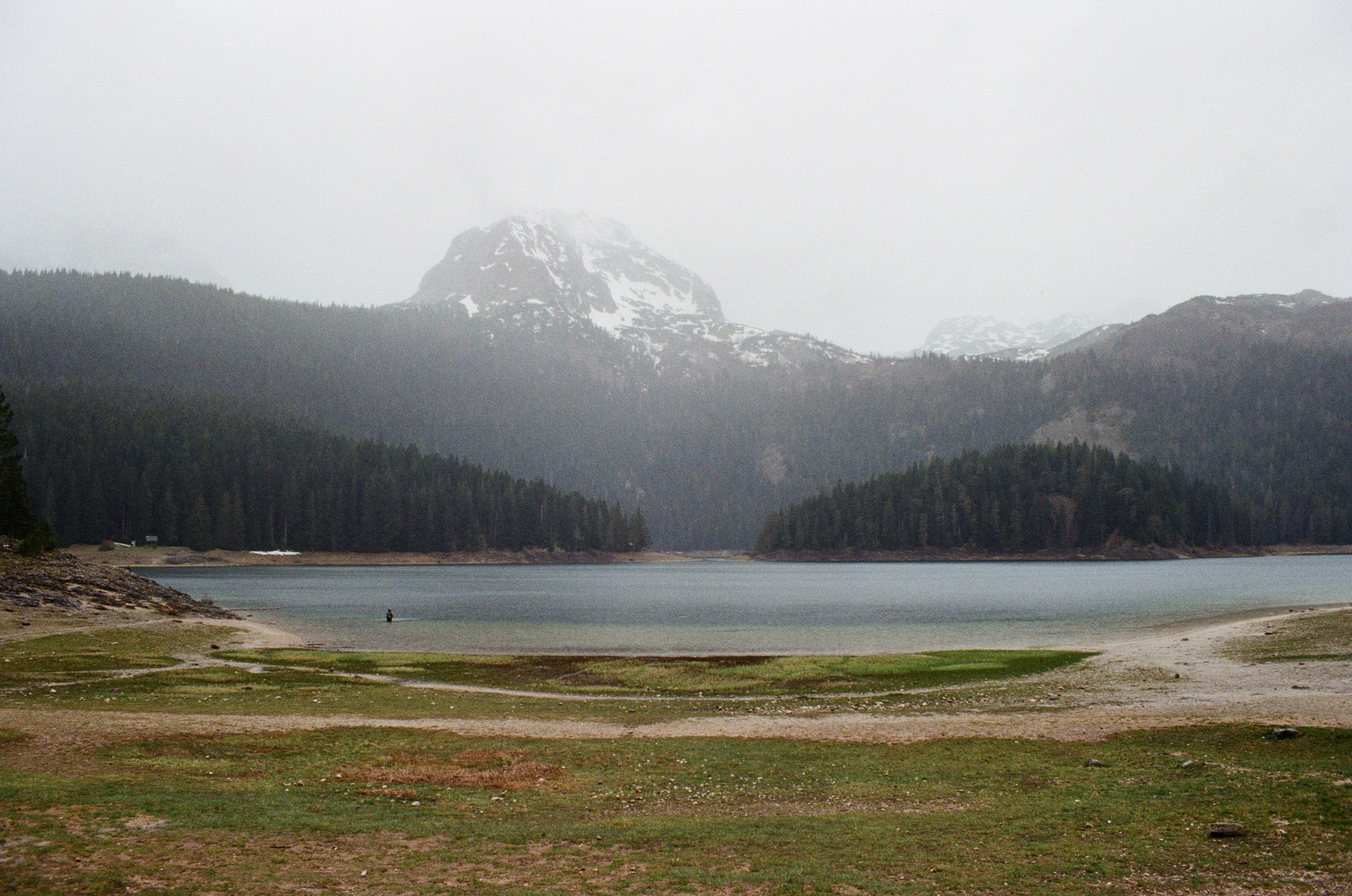 Плёнка. Артем Пучков