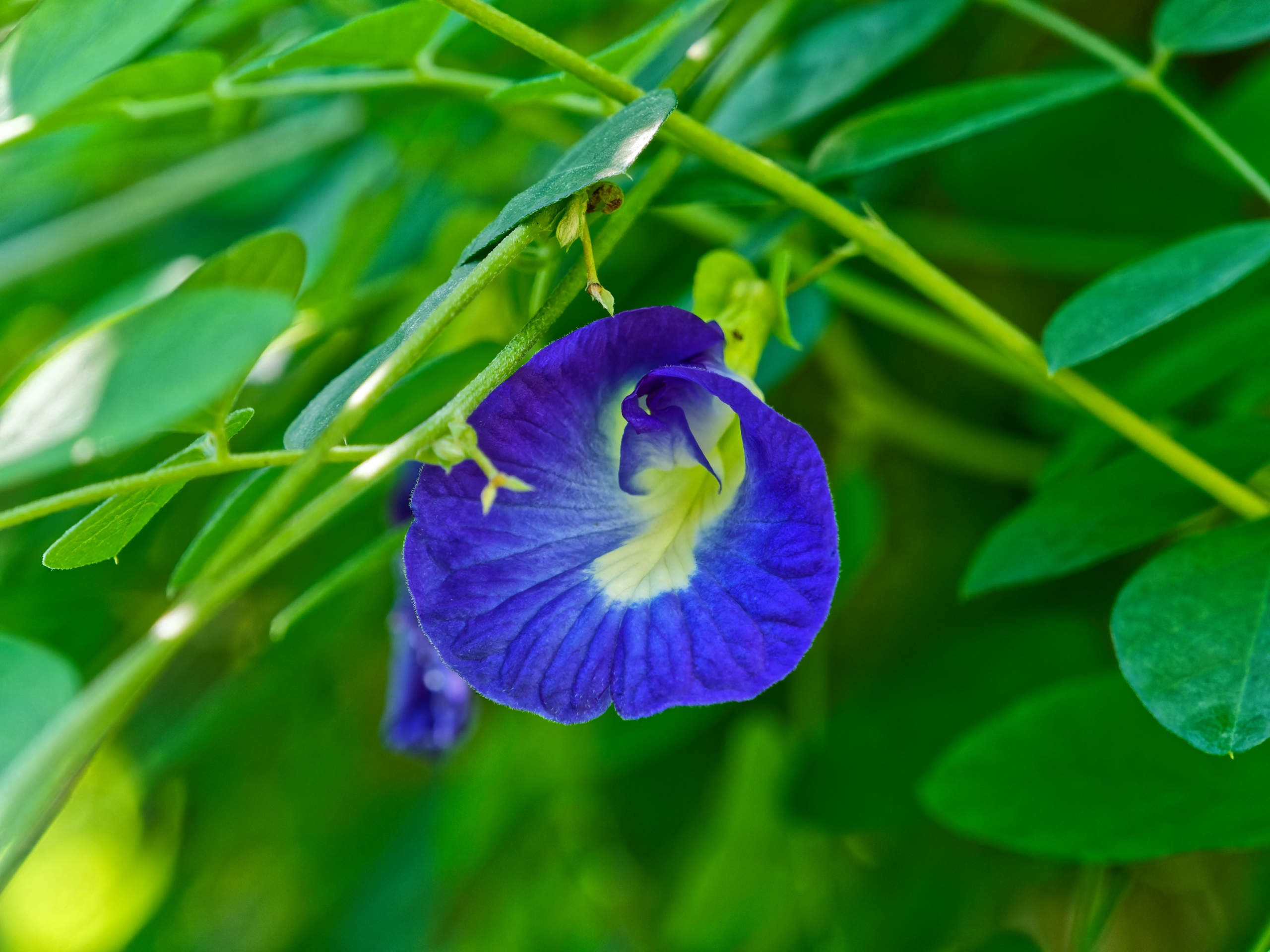 Нячанг 2023. Избранные фотографии