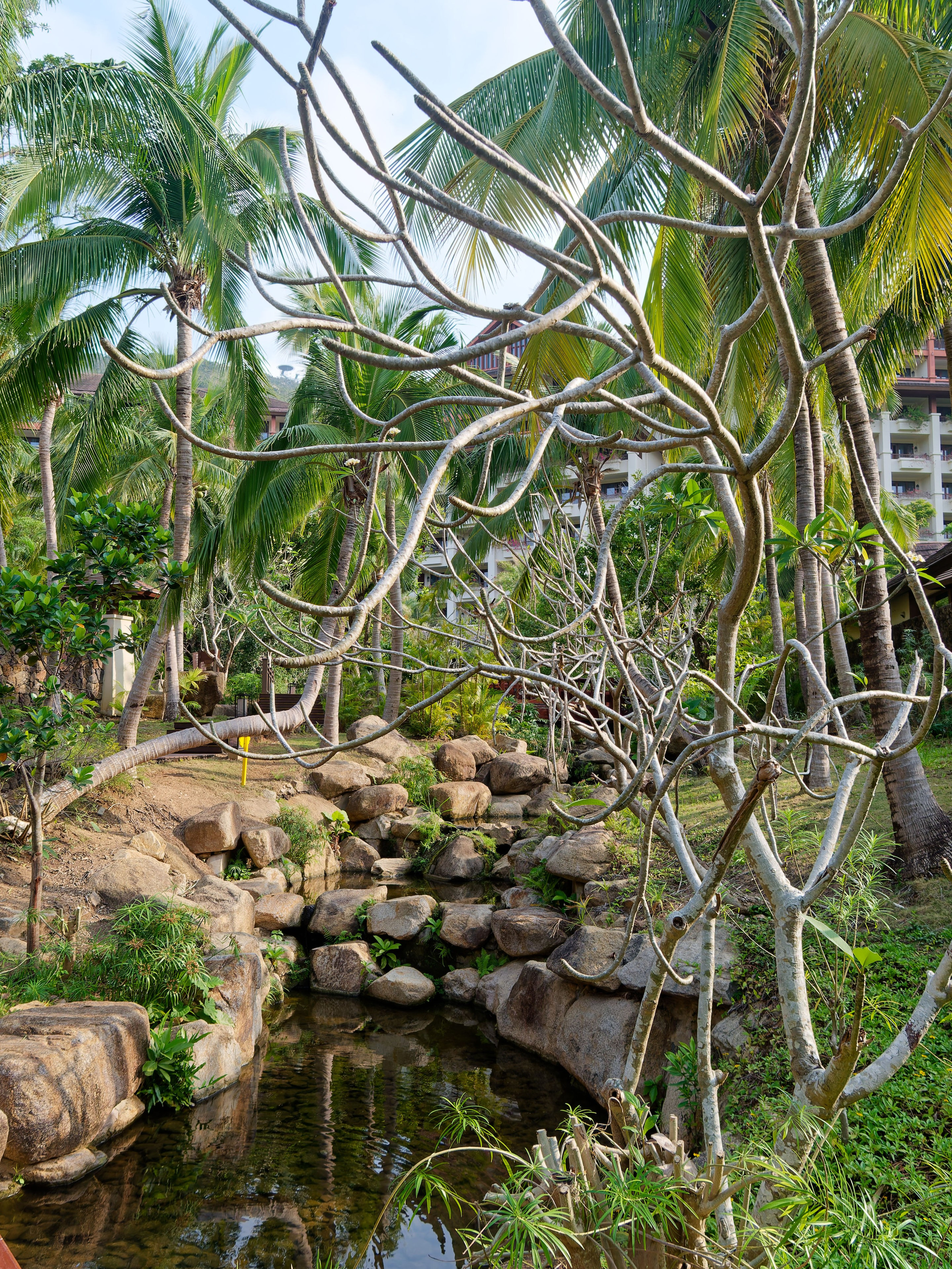 Хайнань 2026, отель «Stony Brook Villa Jianguo Resort Sanya 4*». Фотопрогулки по Миру