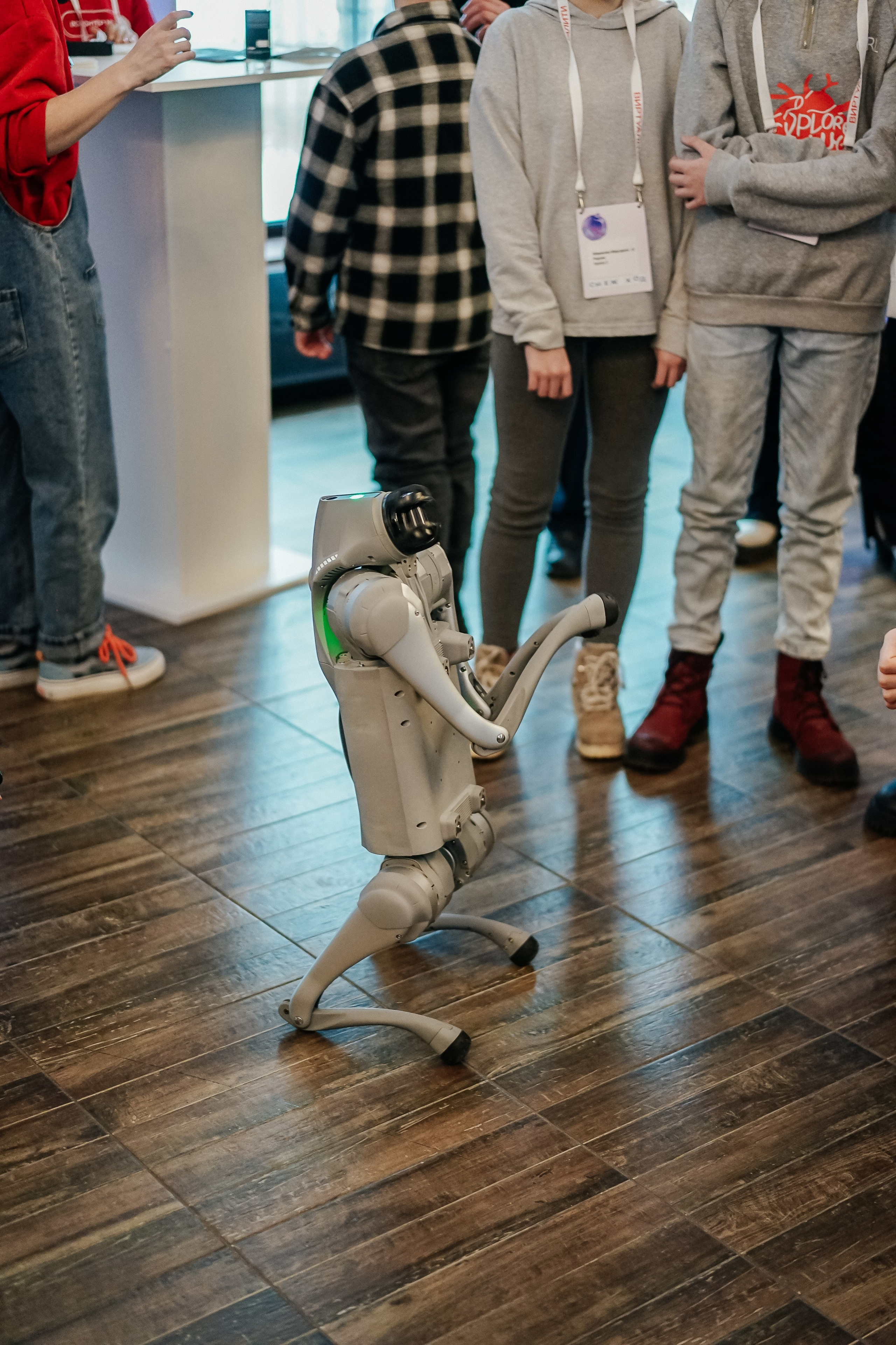 ВИРТУАЛИТИ | Смоленск. Фотограф и видеограф Смоленск | Студия Цезарь