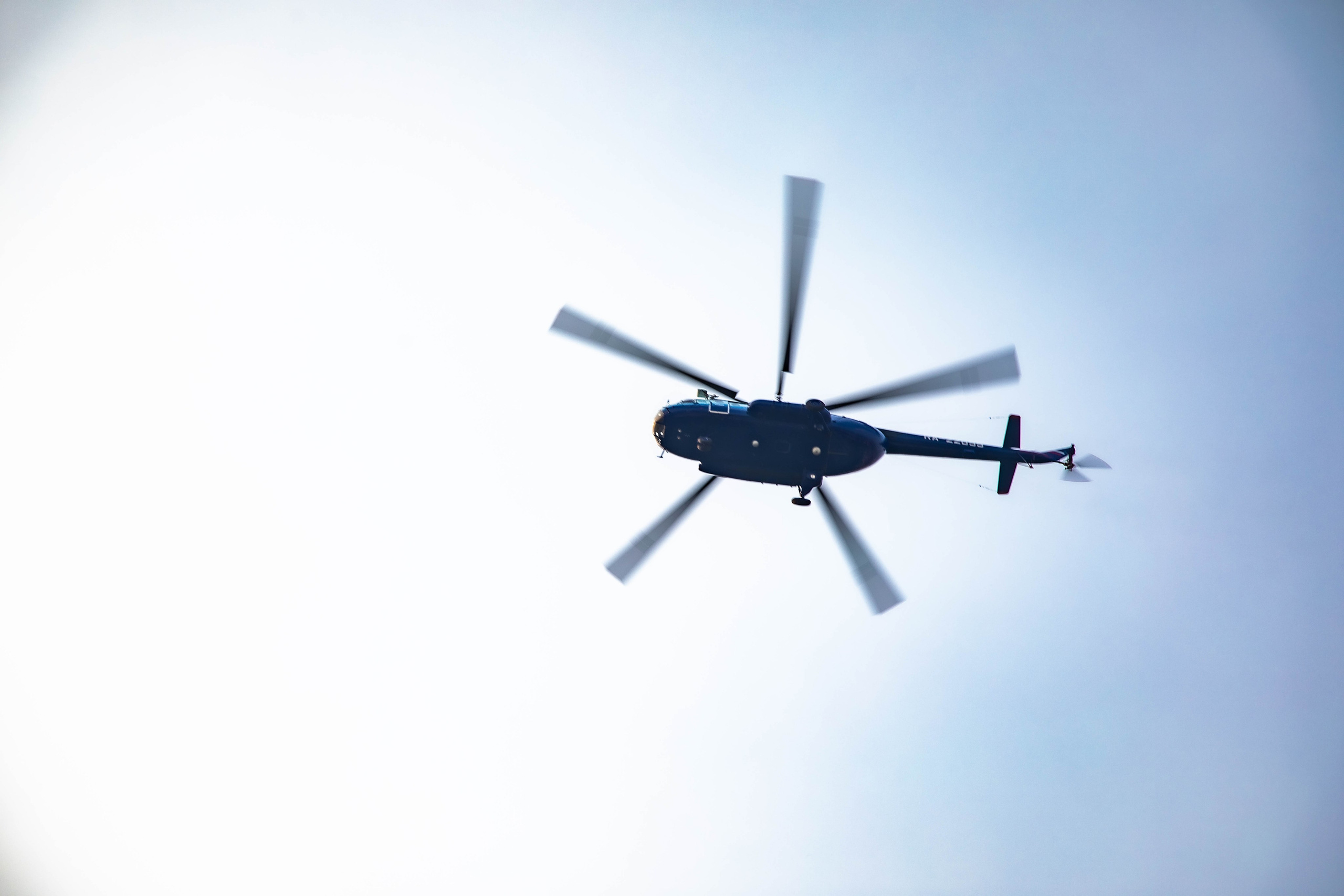 2024 год. Ваш фотограф в г. Ленск, Республика Саха (Якутия)