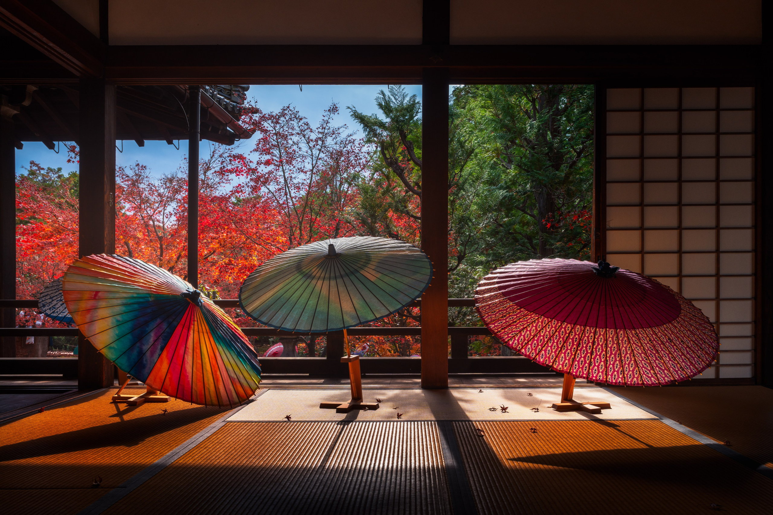 Kyoto. Serge Sadov about landscape, cityscape, travel
