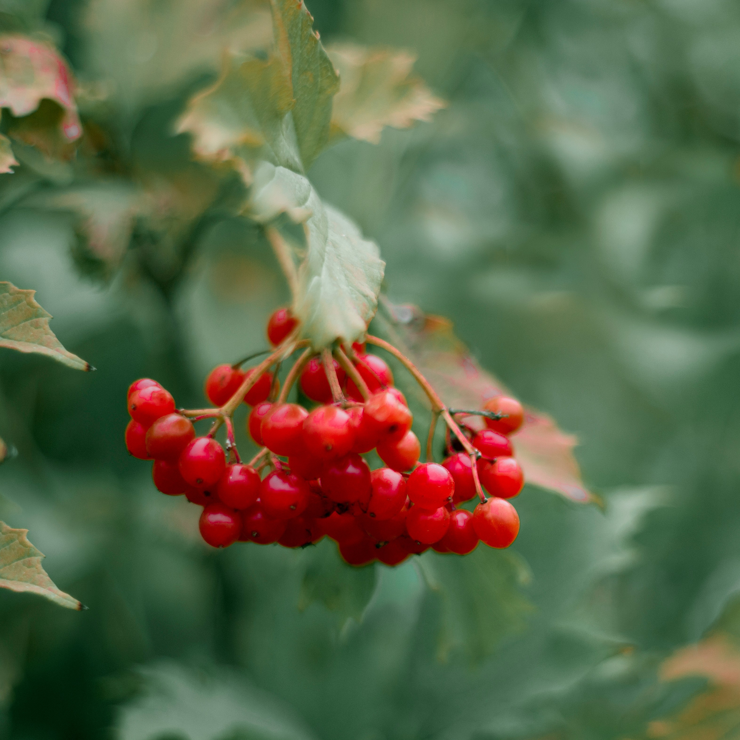 Просто красиво. Детский и семейный фотограф Барнаул Татьяна Губанова