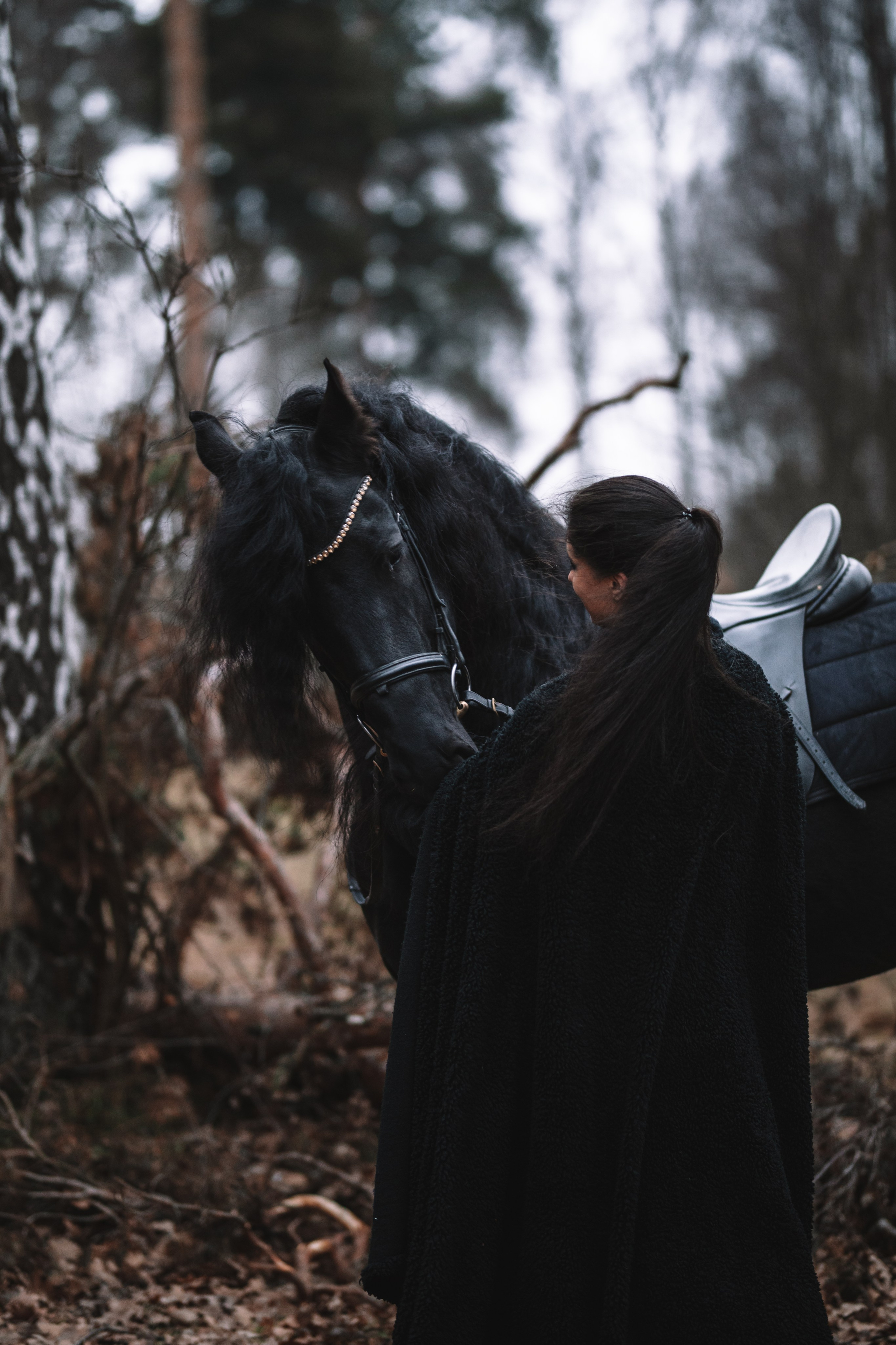 Наташа с фризом в костюме викинга. Фотосессии с лошадьми