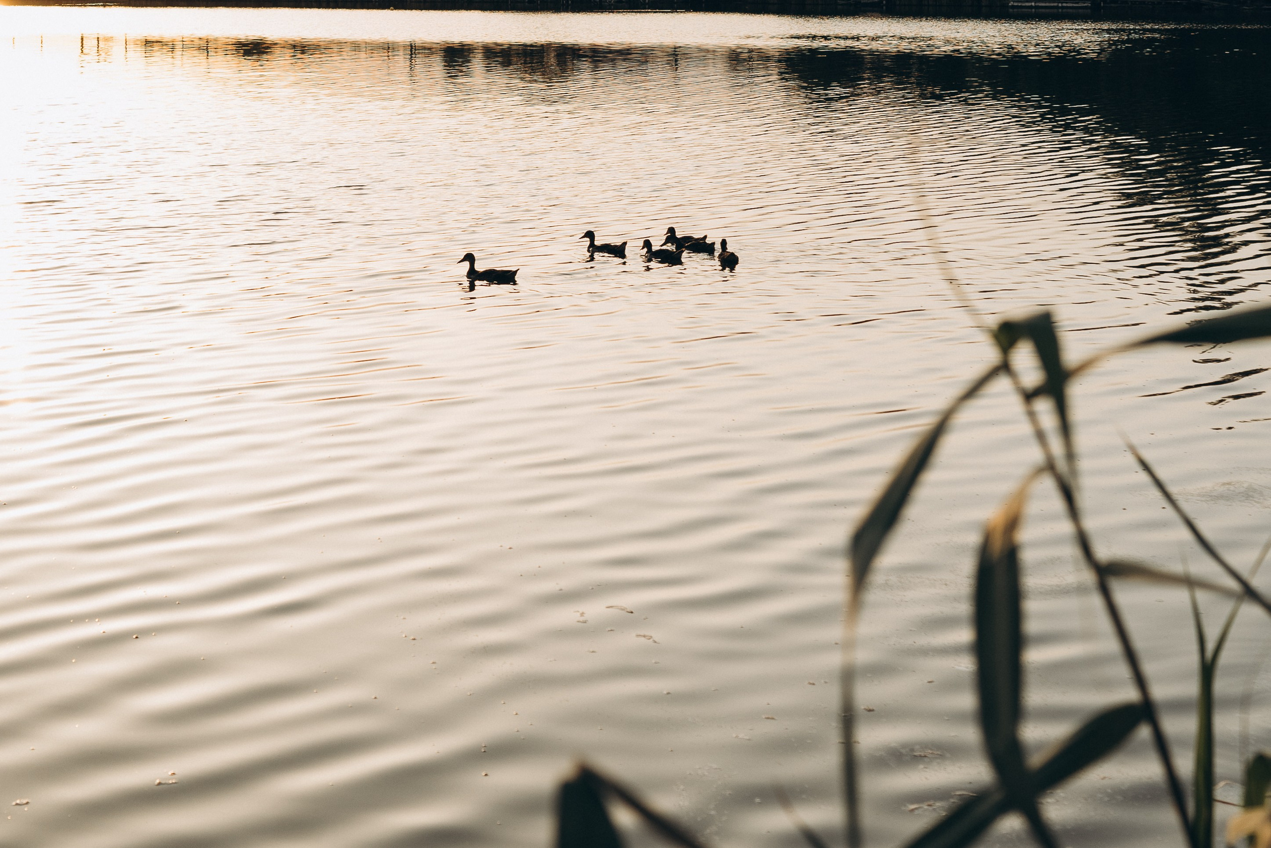 Мама и сын. Семейный фотограф Ростов-на-Дону Татьяна Соколова