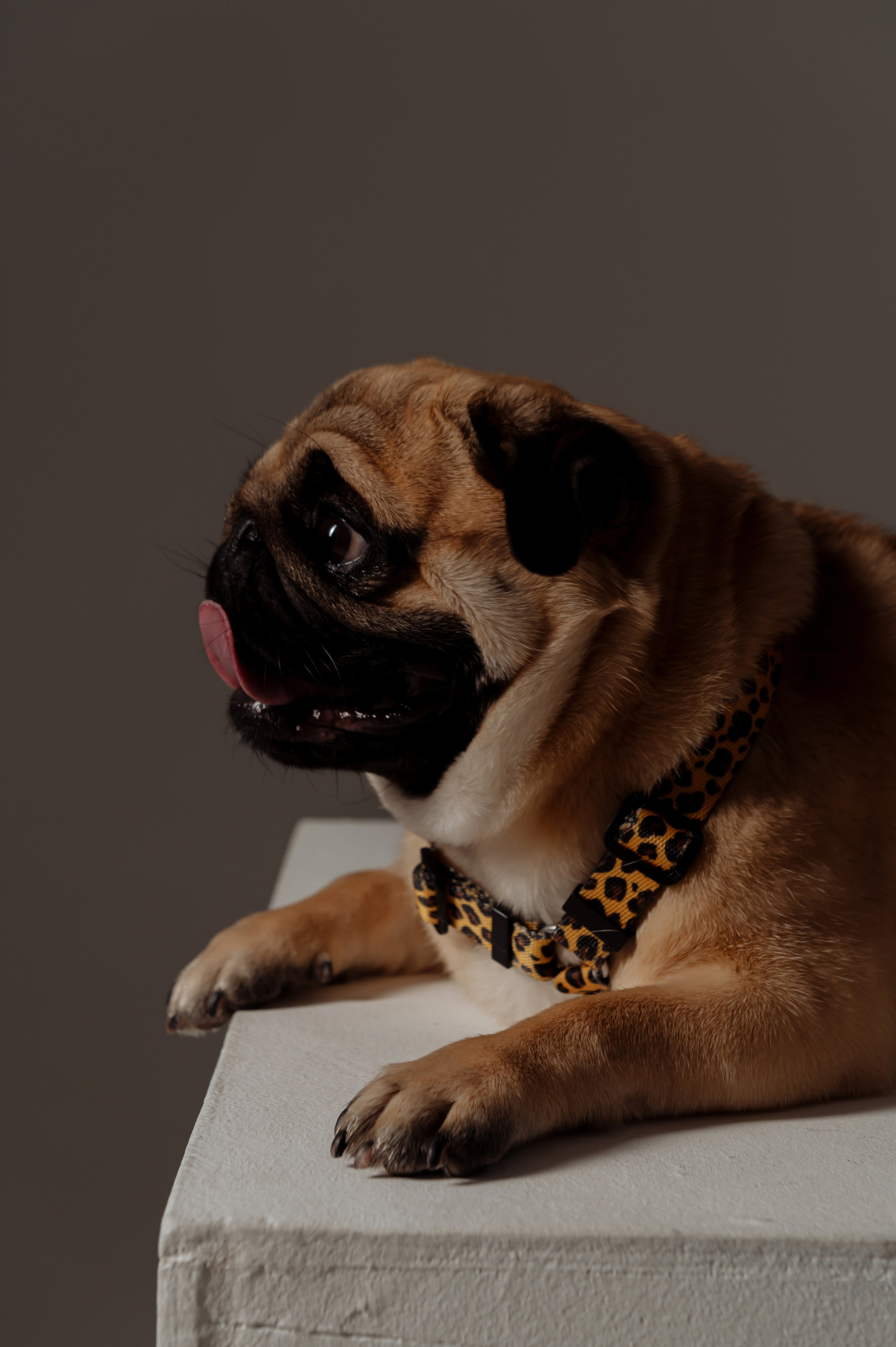 Инга. Свадебный, портретный, фотограф беременности в Нижнем Новгороде Алина Зиновьева