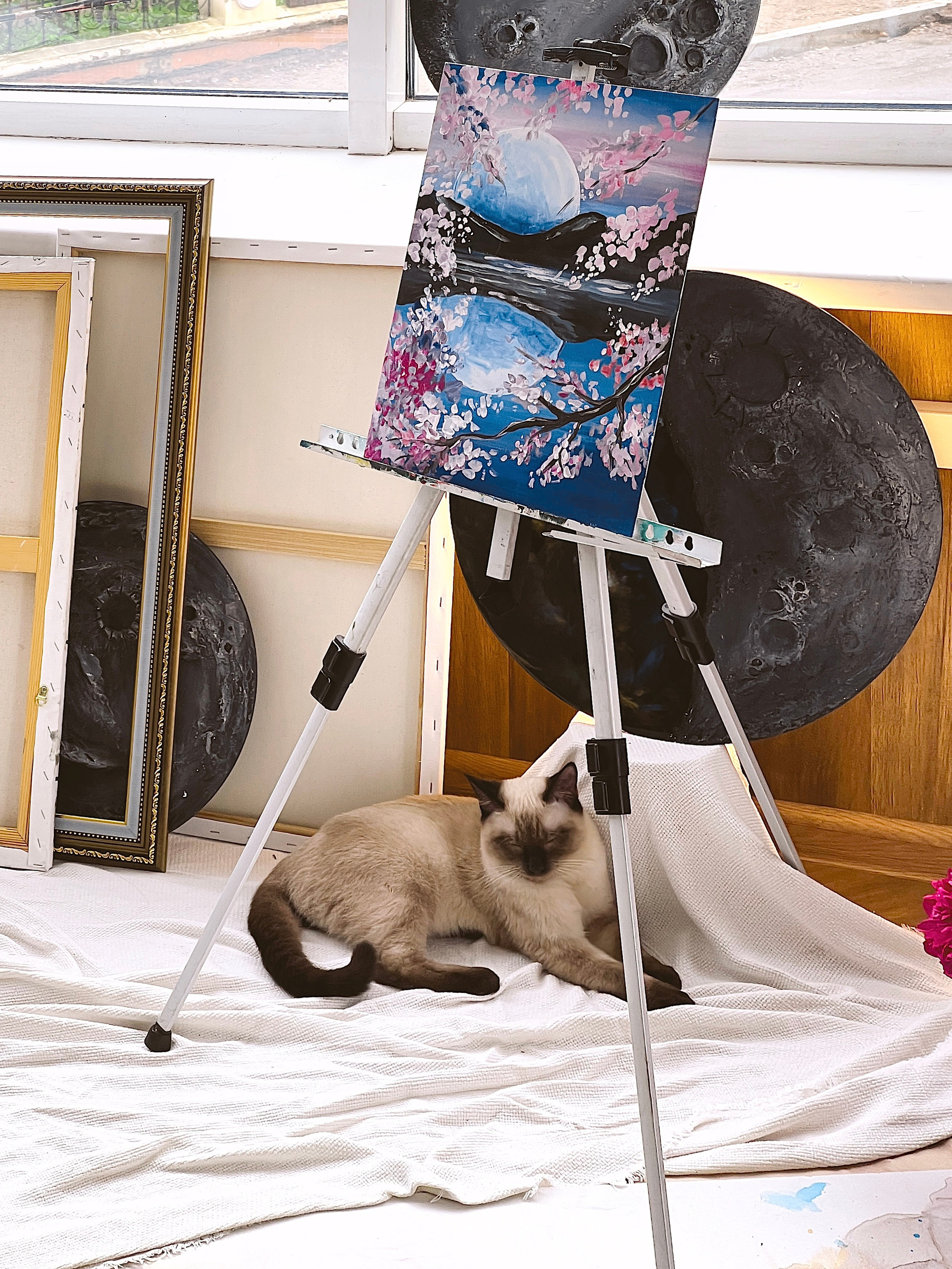 Алёна. Контент-фотограф в Иркутске Мохирева Мария