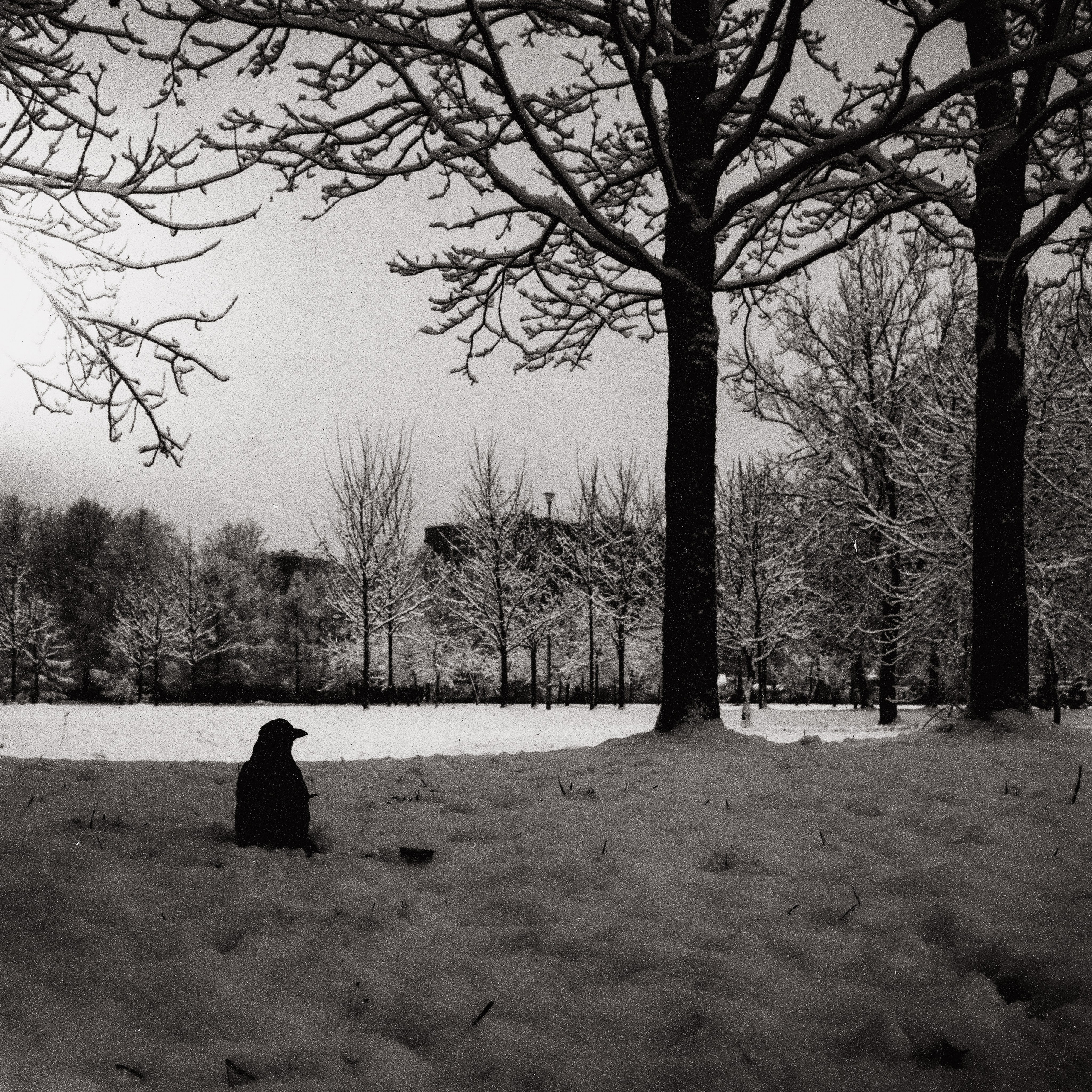 Плёнка 35/120мм. Katya Medvedeva