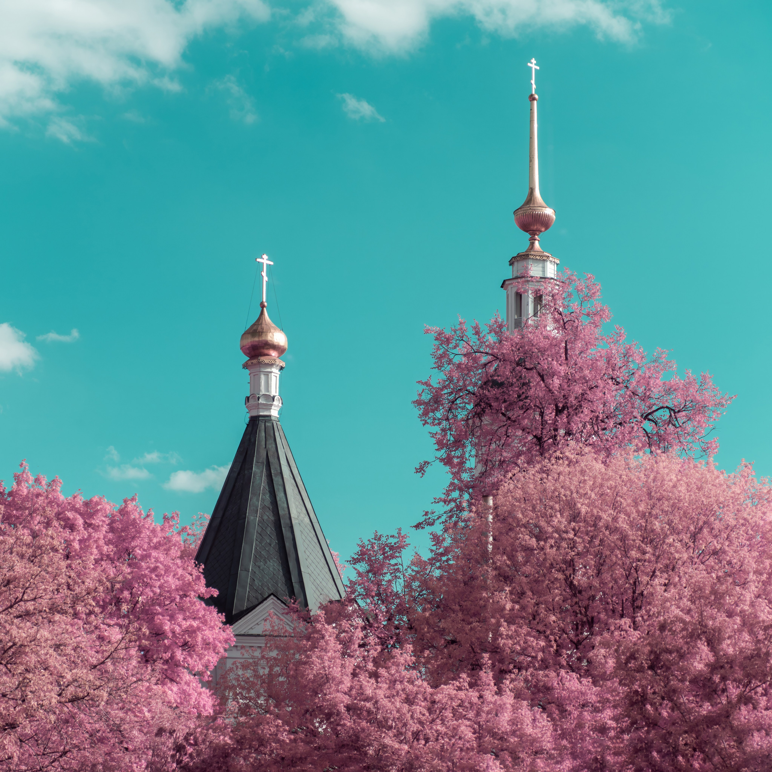 Color — Цветная