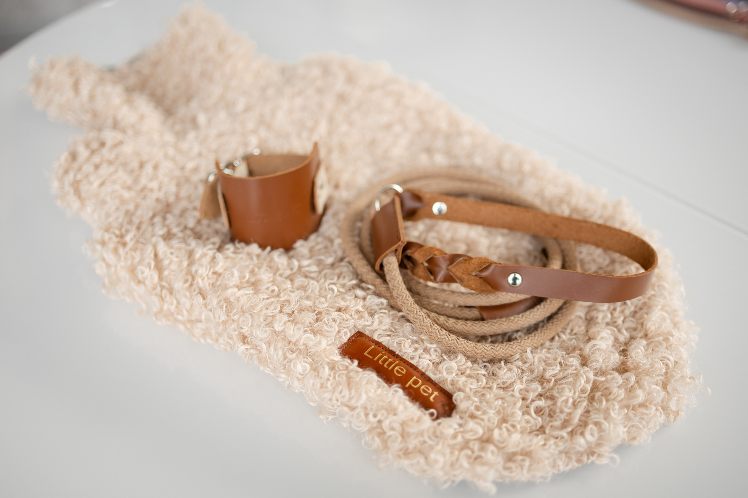 Прогулки. Профессиональный питомник левреток РКФ/FCI ASTI SAPPHIRE 💎 Сочи|Санкт-Петербург