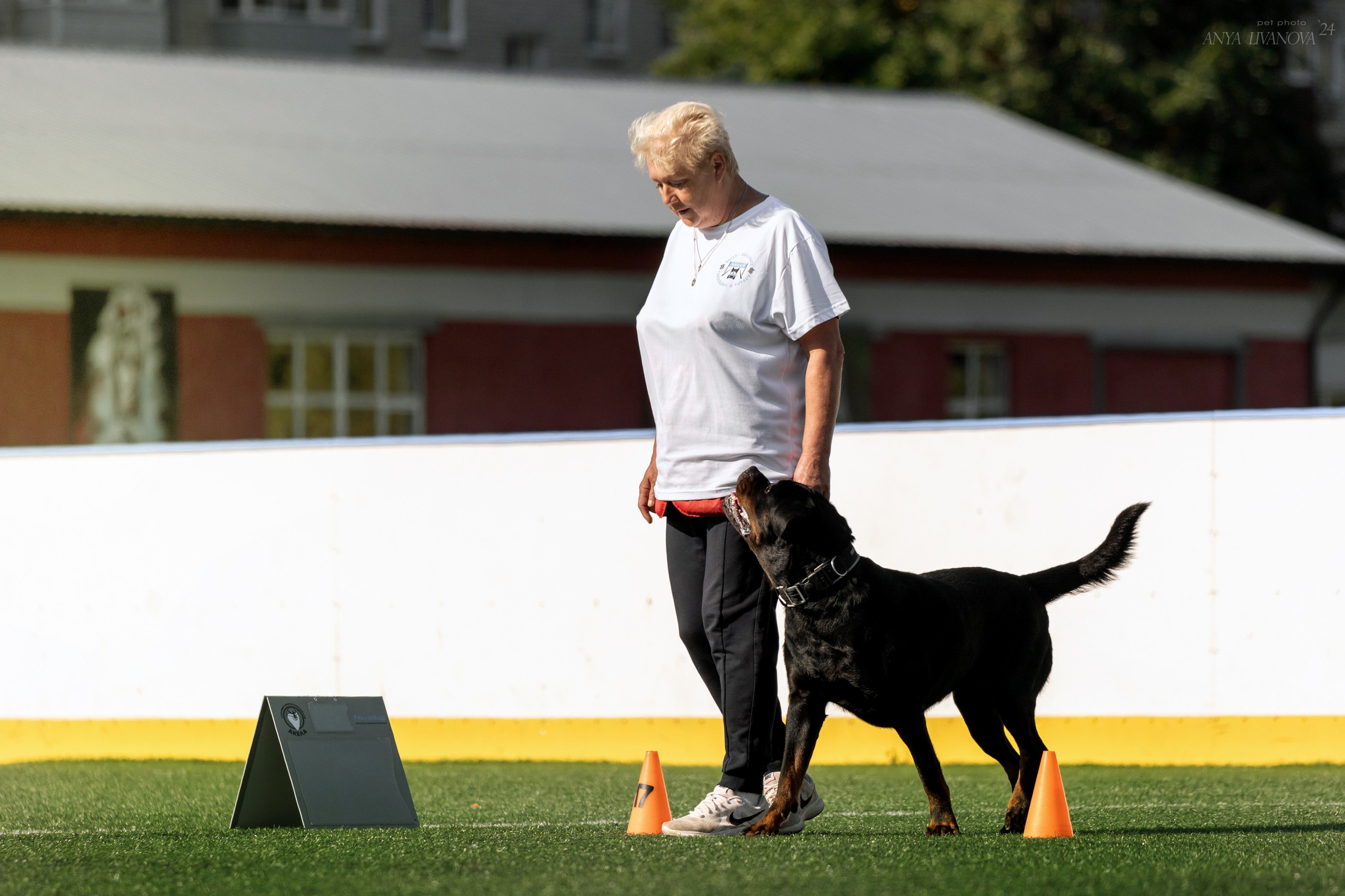 Ралли обидиенс. Фотограф анималист Аня Ливанова | Рыбинск
