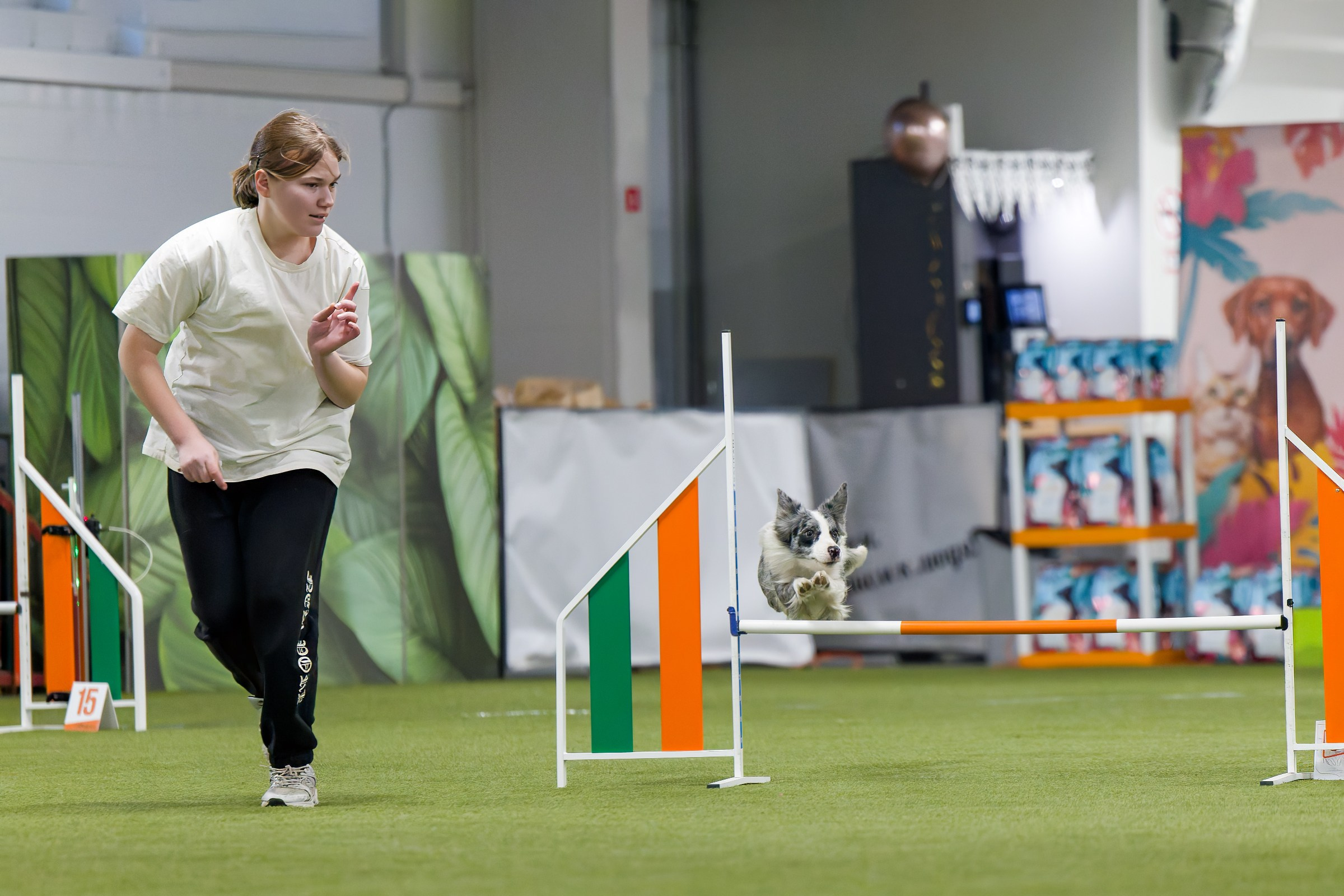 День рождения Пёсбурга — февраль 2025. Irenephoto.ru