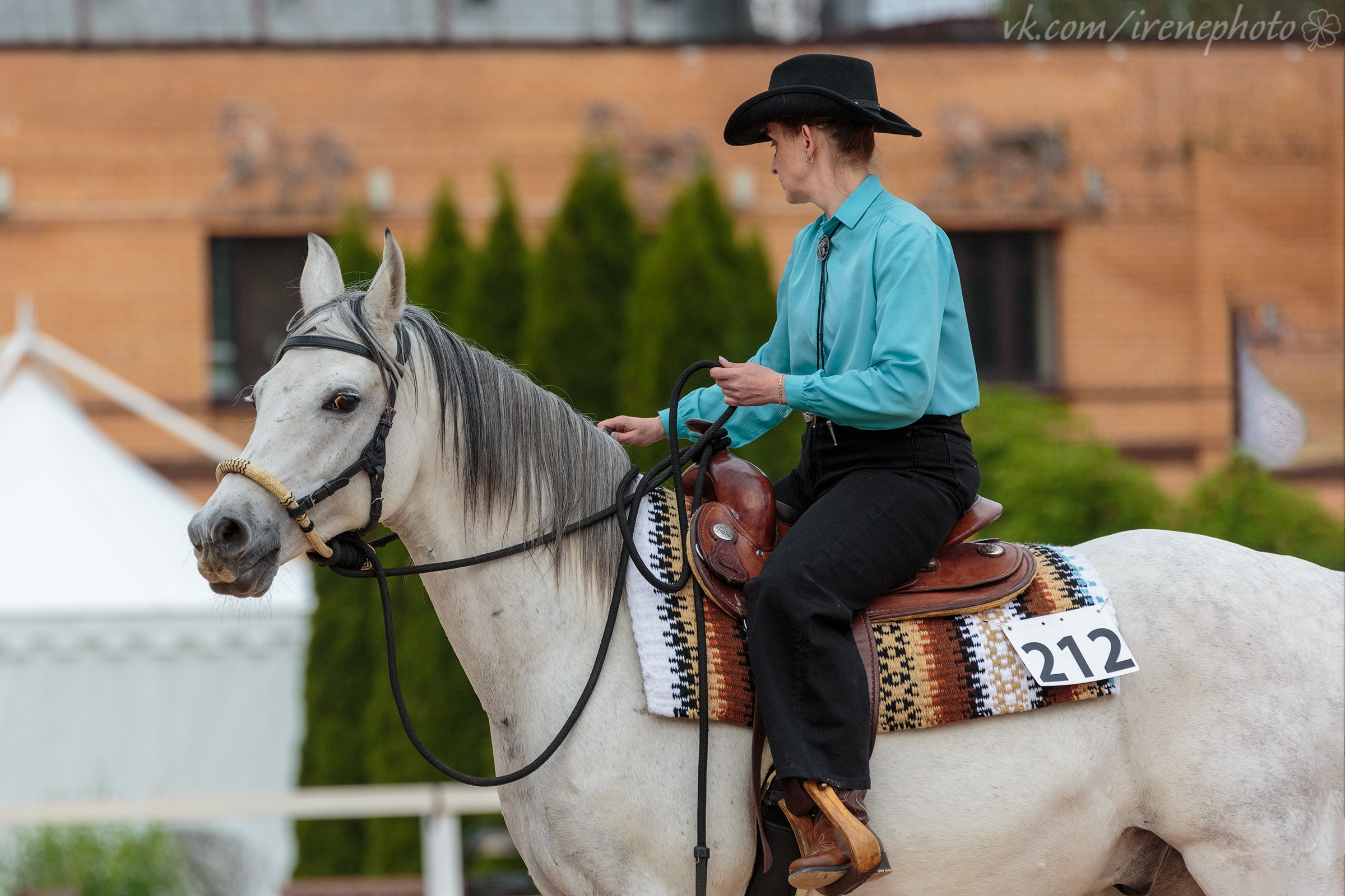 Иппосфера 2024. Irenephoto.ru