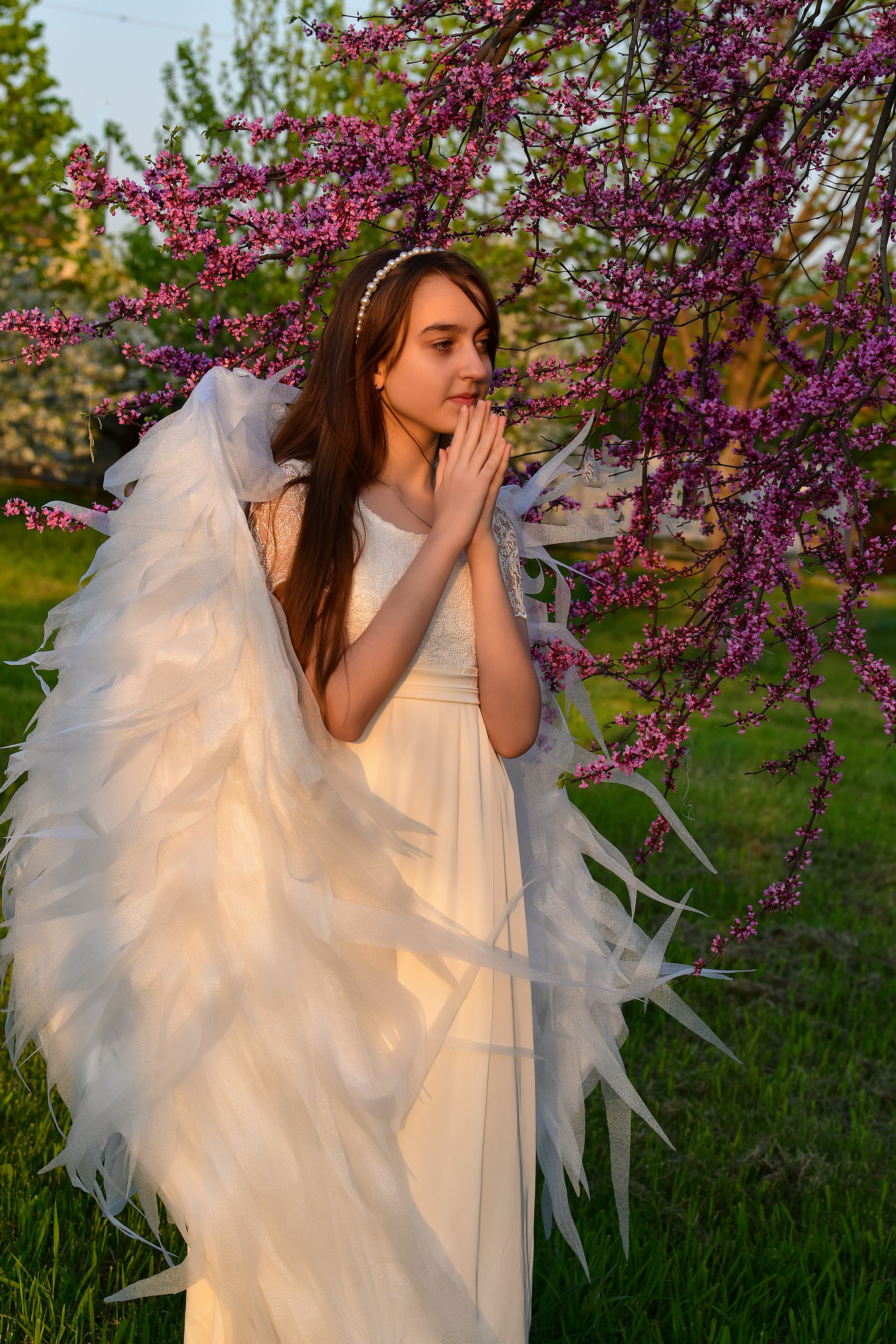 Крылатые истории. Главная