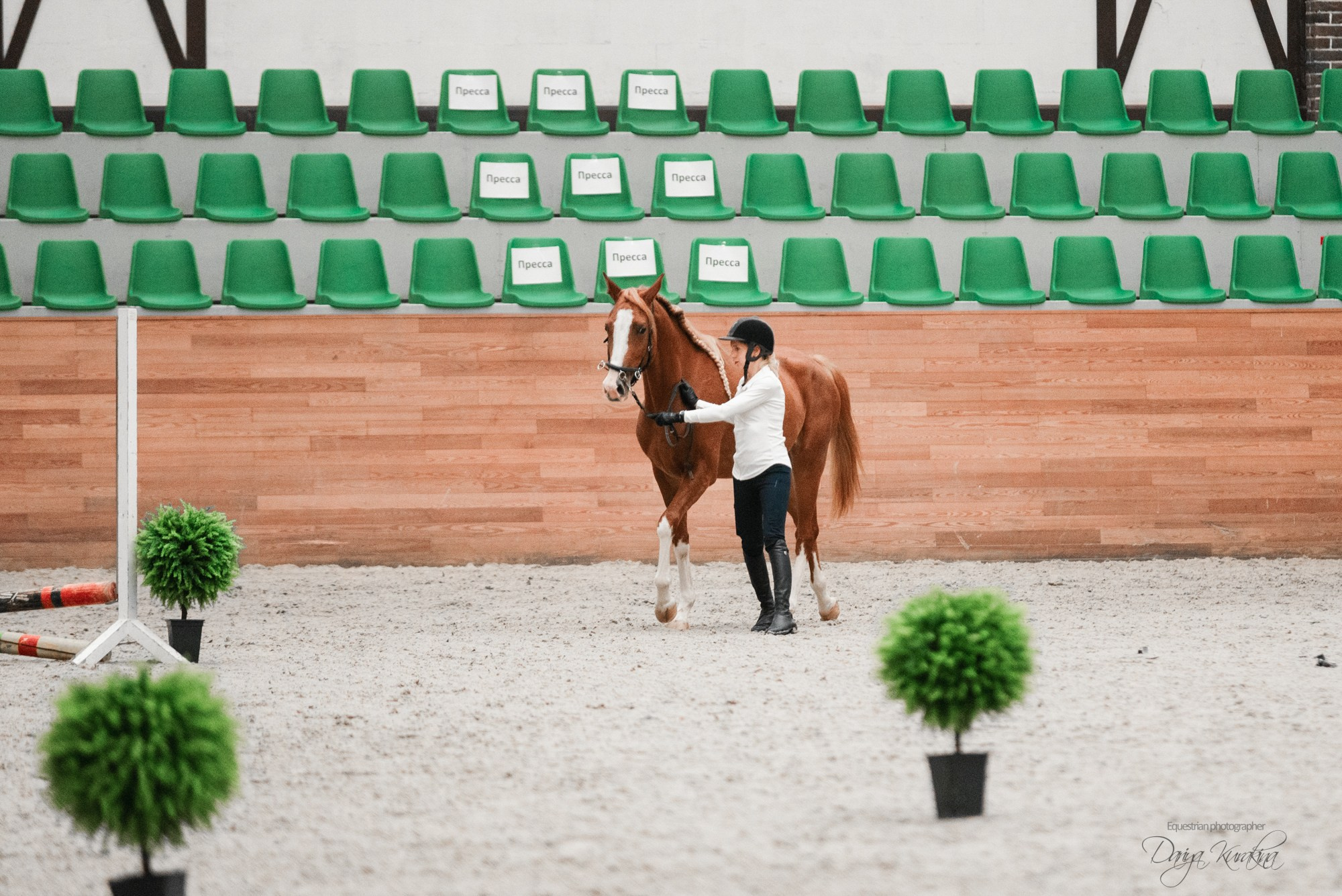 8-я международная выставка Конная Россия. Конный фотограф Куракина Дарья • Фотосессии с лошадьми