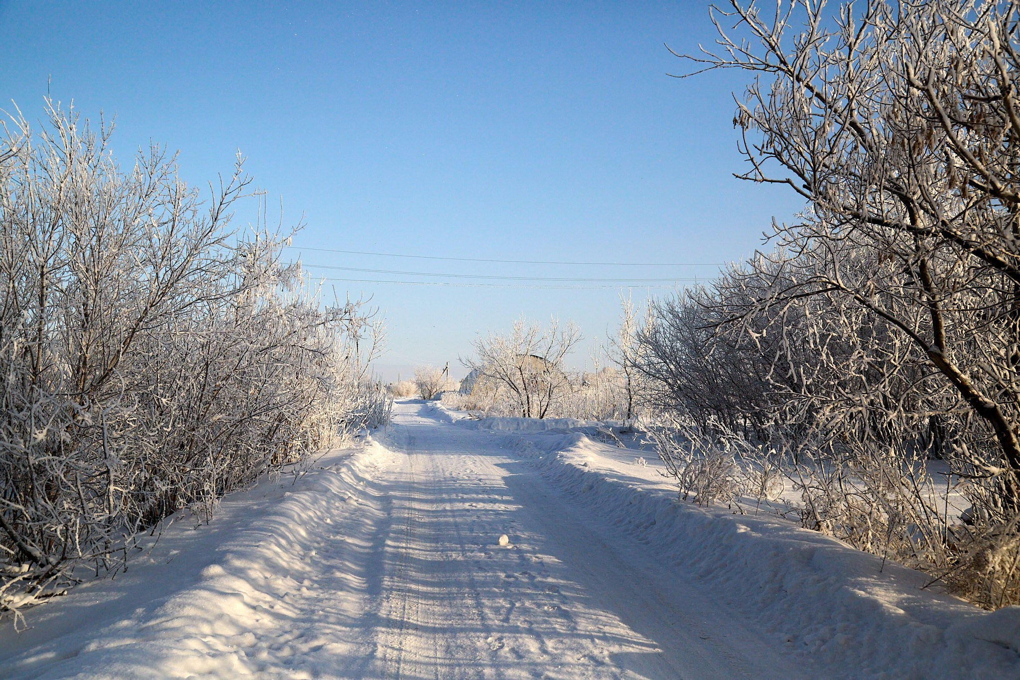 Предновогодняя сказка. Фотограф Омск | Александр Вандеров