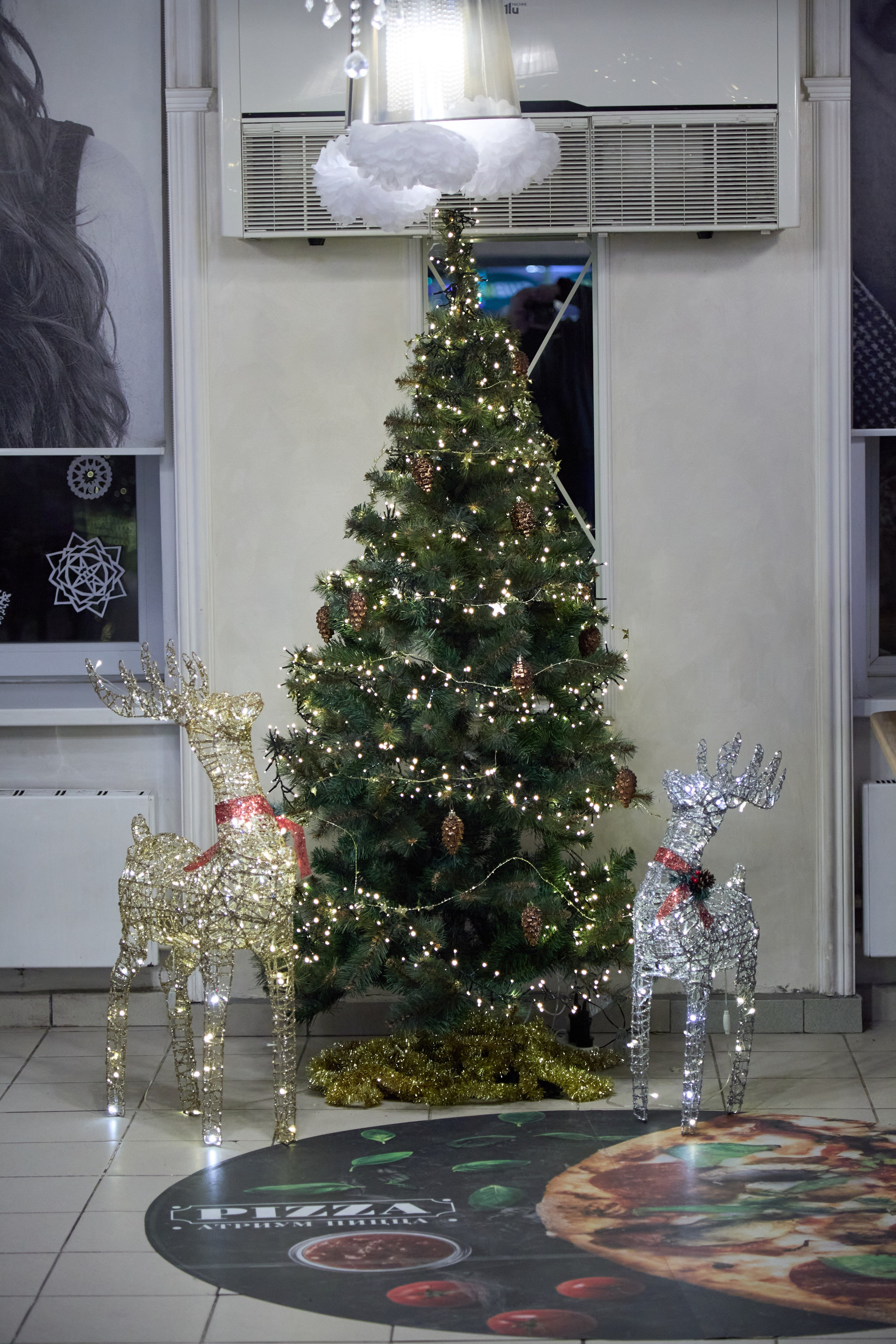 Новогодний Омск 2025. Фотограф Омск | Александр Вандеров