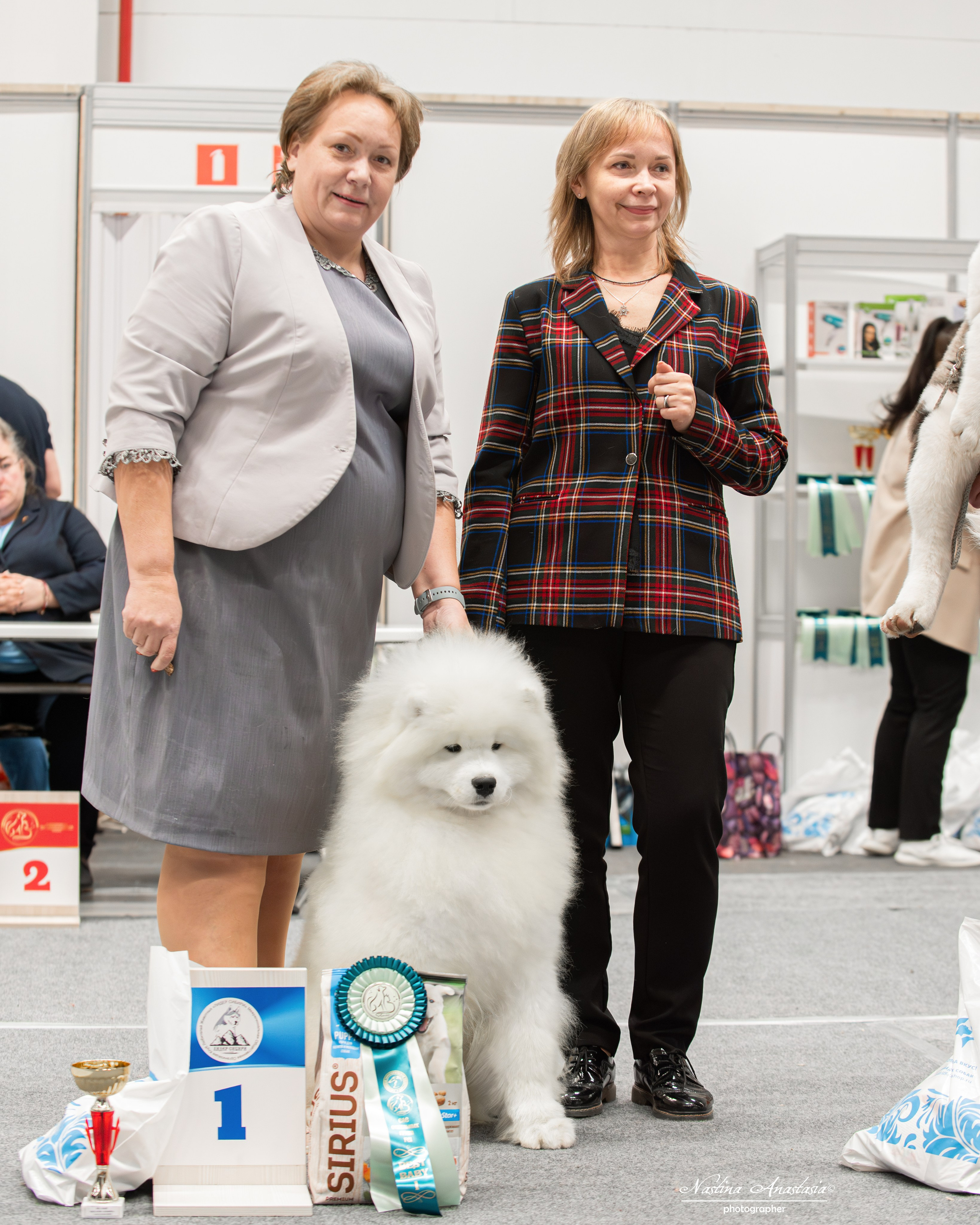 Выставки. Фотограф — Анималист