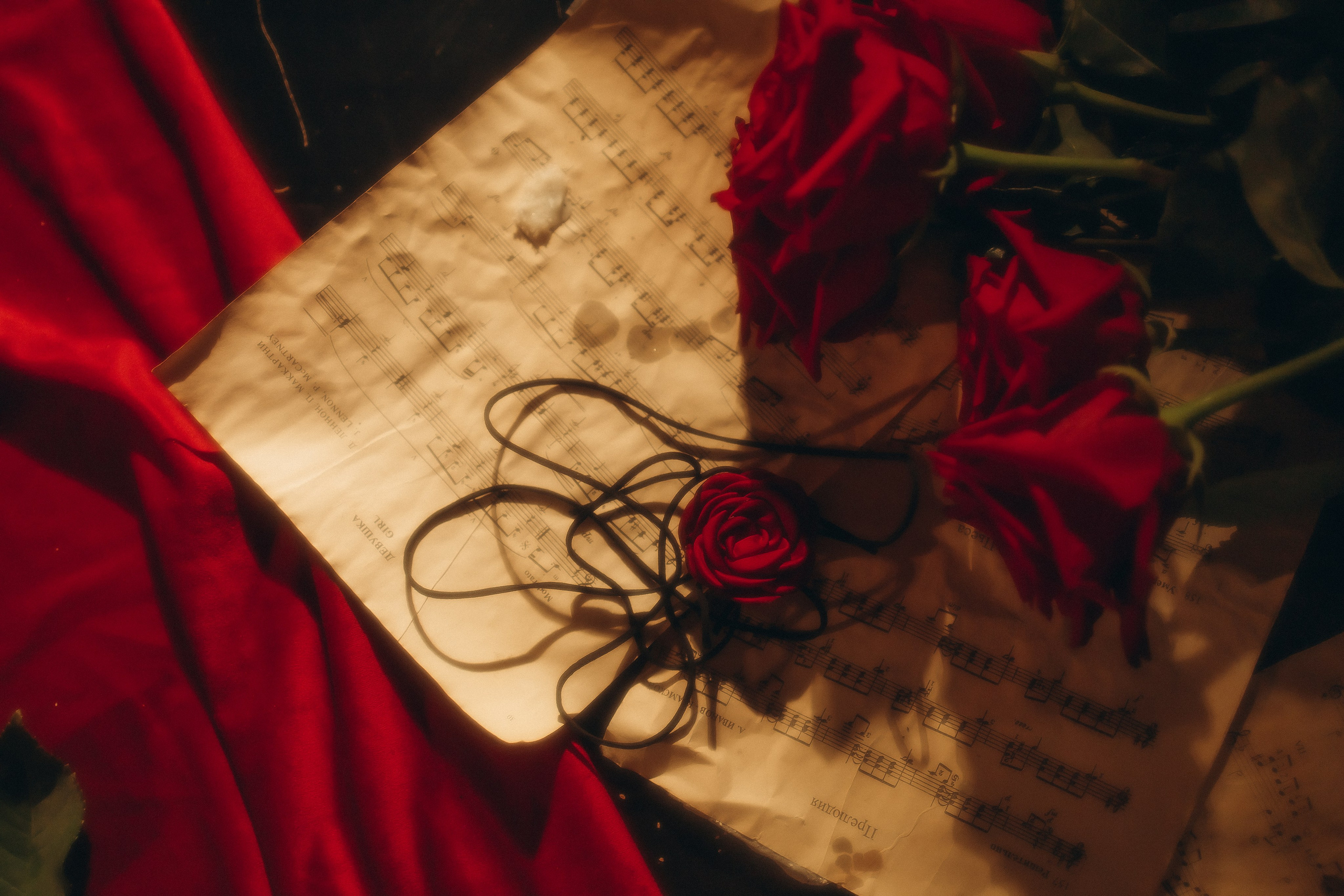 Алена. Семейный фотограф в Волгодонске Краченцева Анна