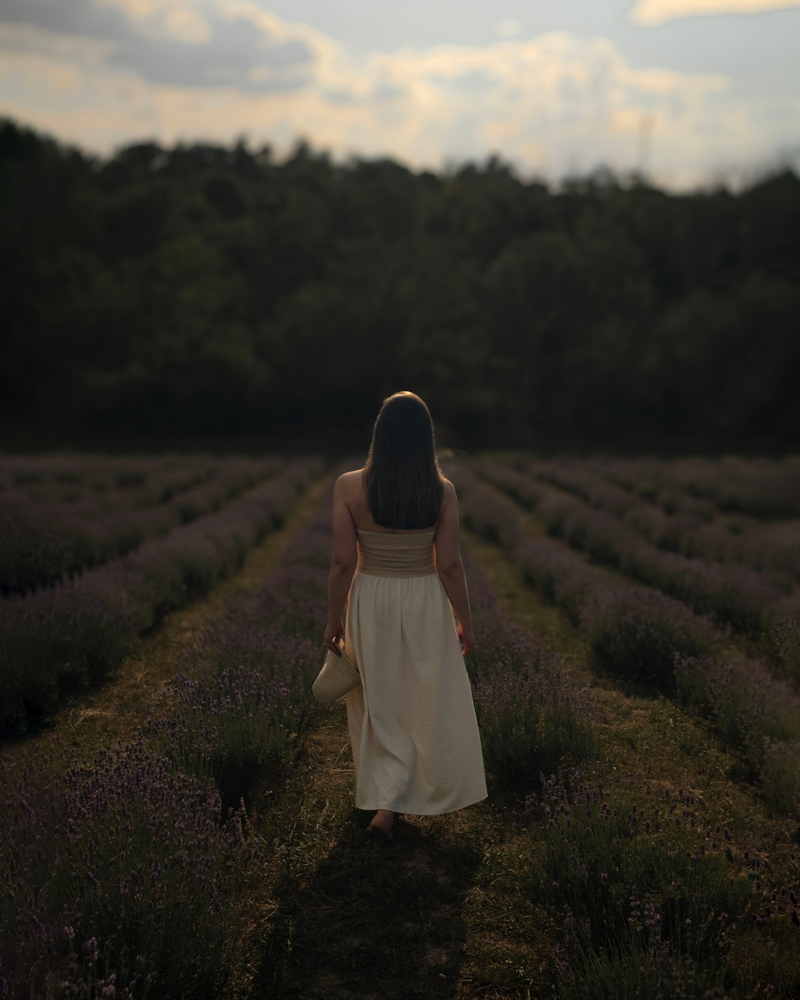 On a lavender field. Portrait photographer Olga Prokopova based in Budapest
