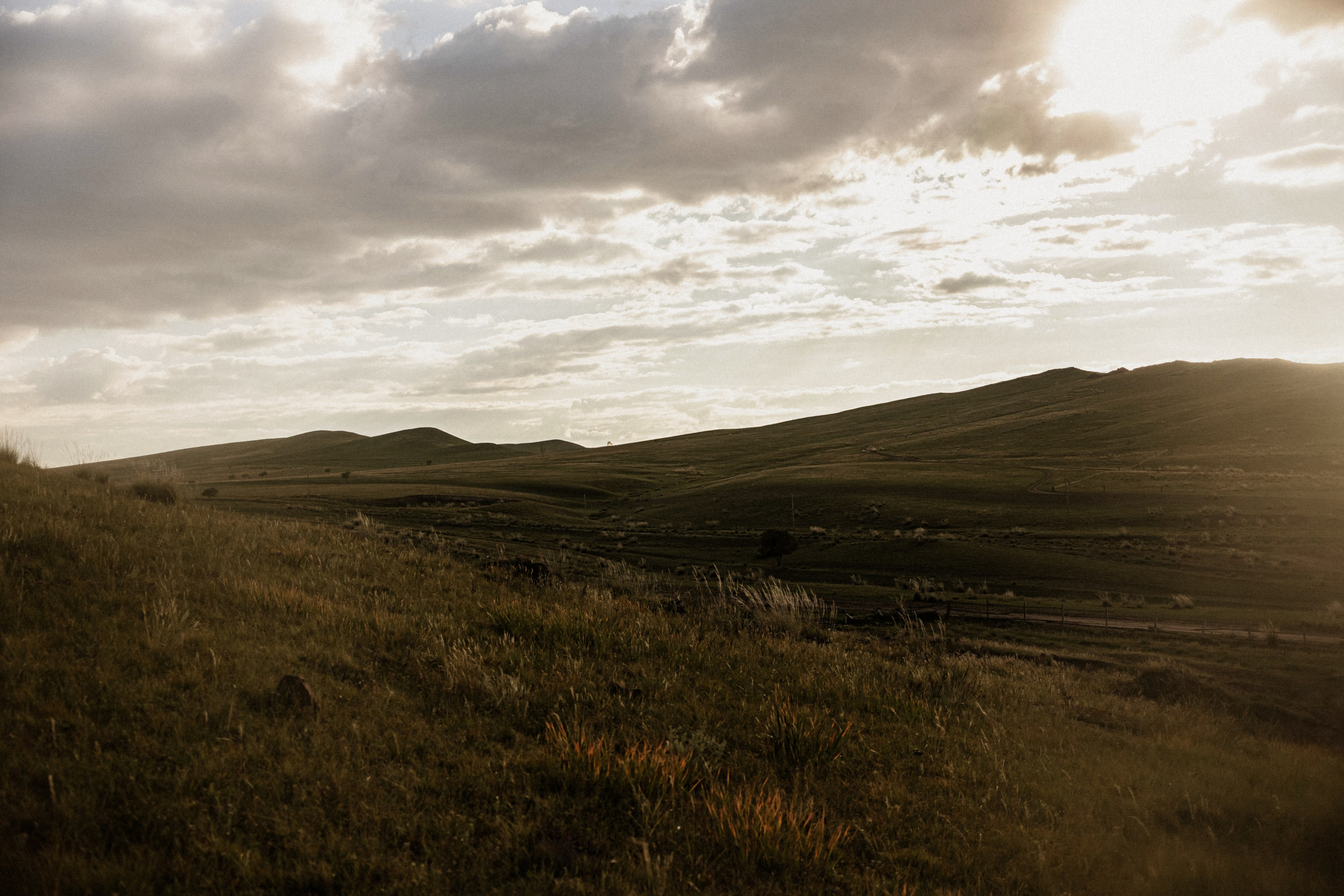 Коля, Ира и Миша. Фотограф Москва, Санкт-Петербург, Абакан