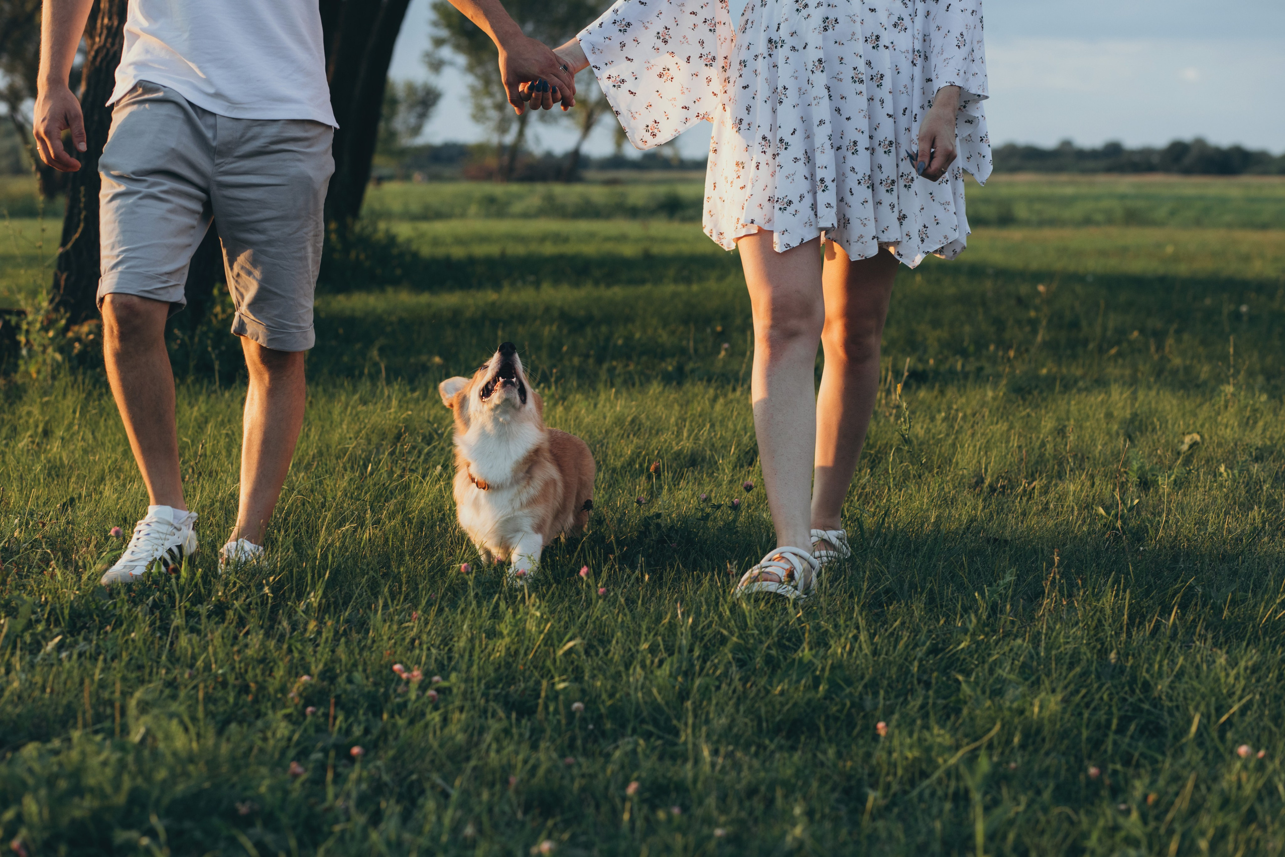 4 лапы, 2 пары ног и одно сердечко на троих ❤. Фотограф Анастасия Романова Рязань