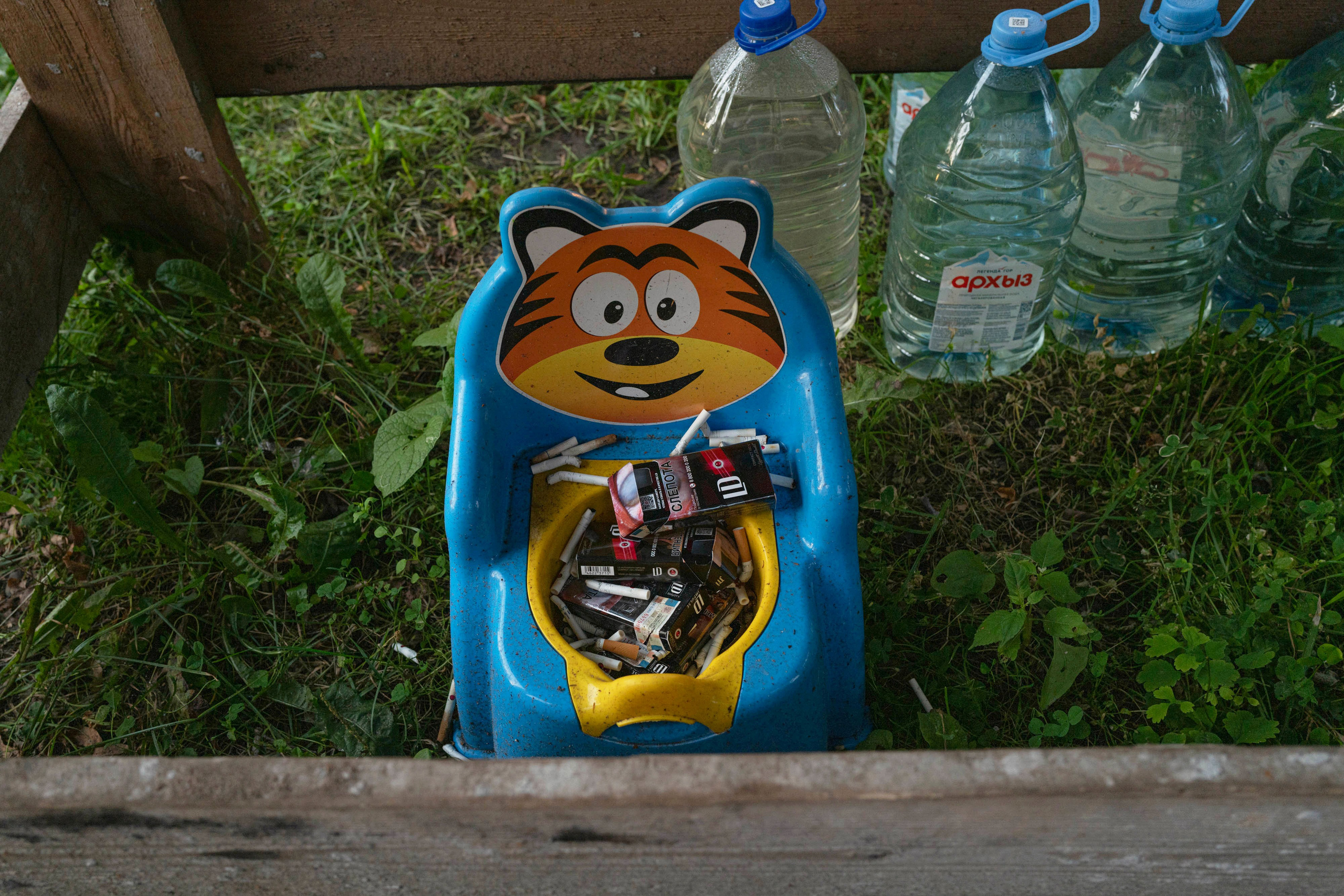 Мир тропы. Tatiana Mishchenko