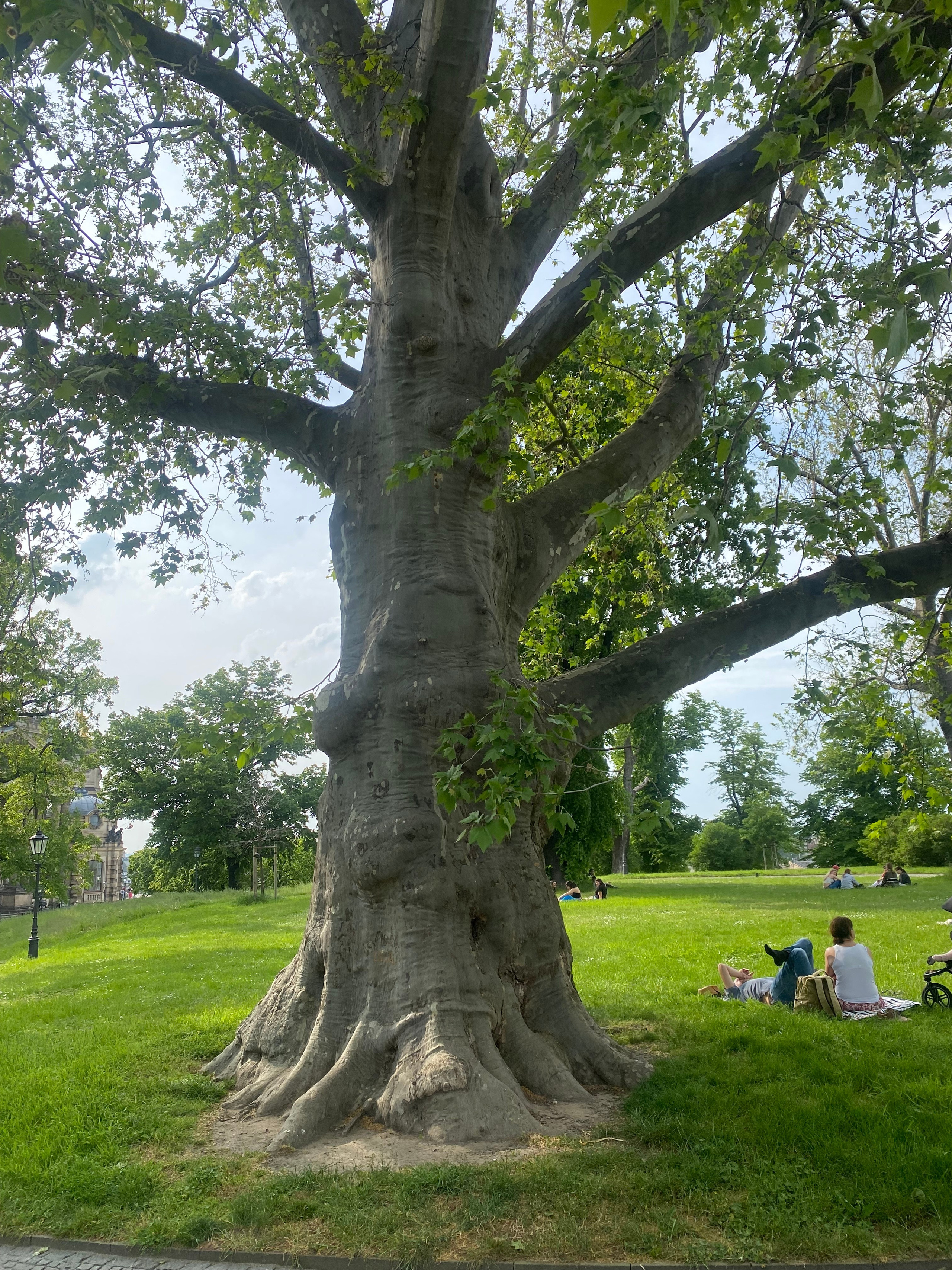 Дрезден. Своя Мастерская