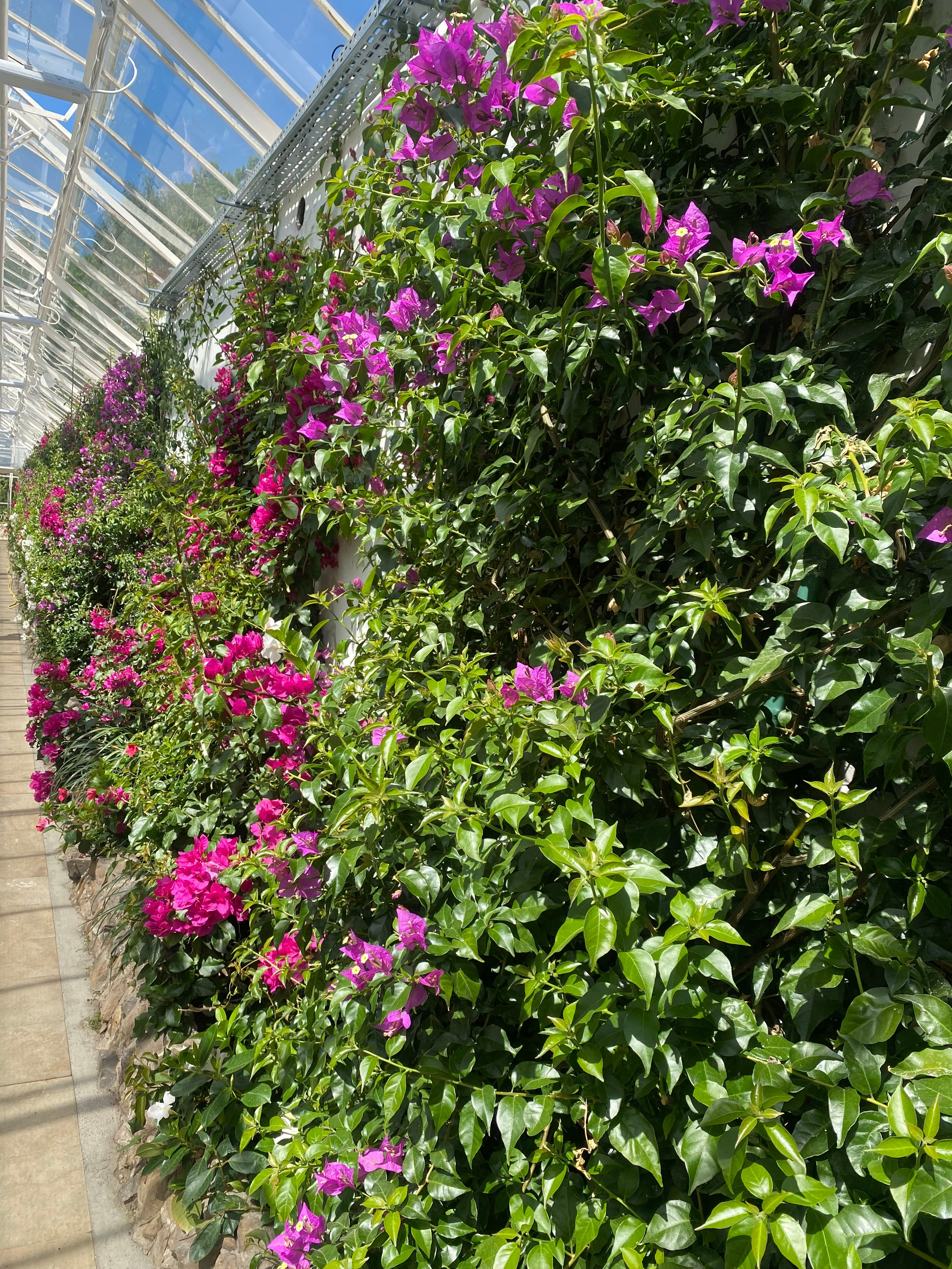 Валбджих. Своя Мастерская