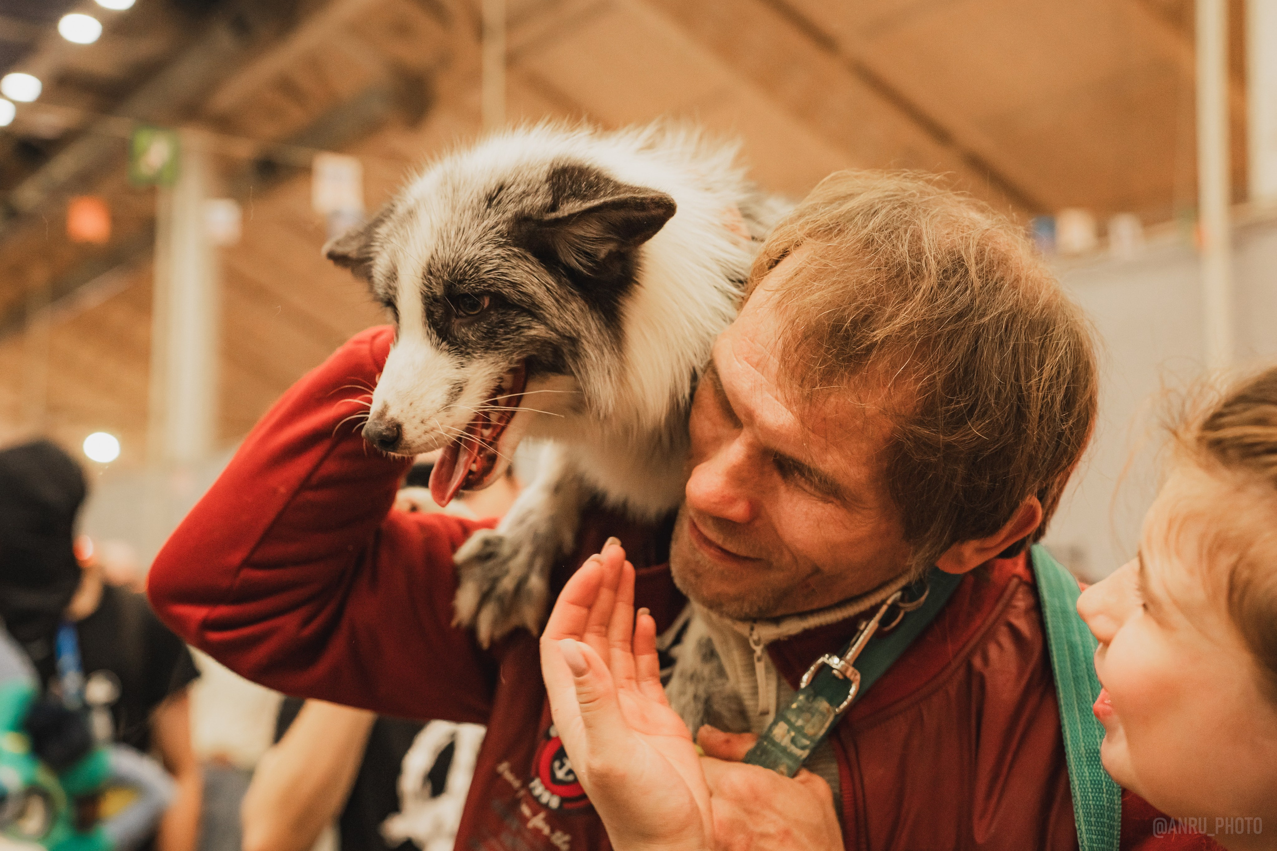 Fox Family fest. Репортажный фотограф Анастасия Рубцова