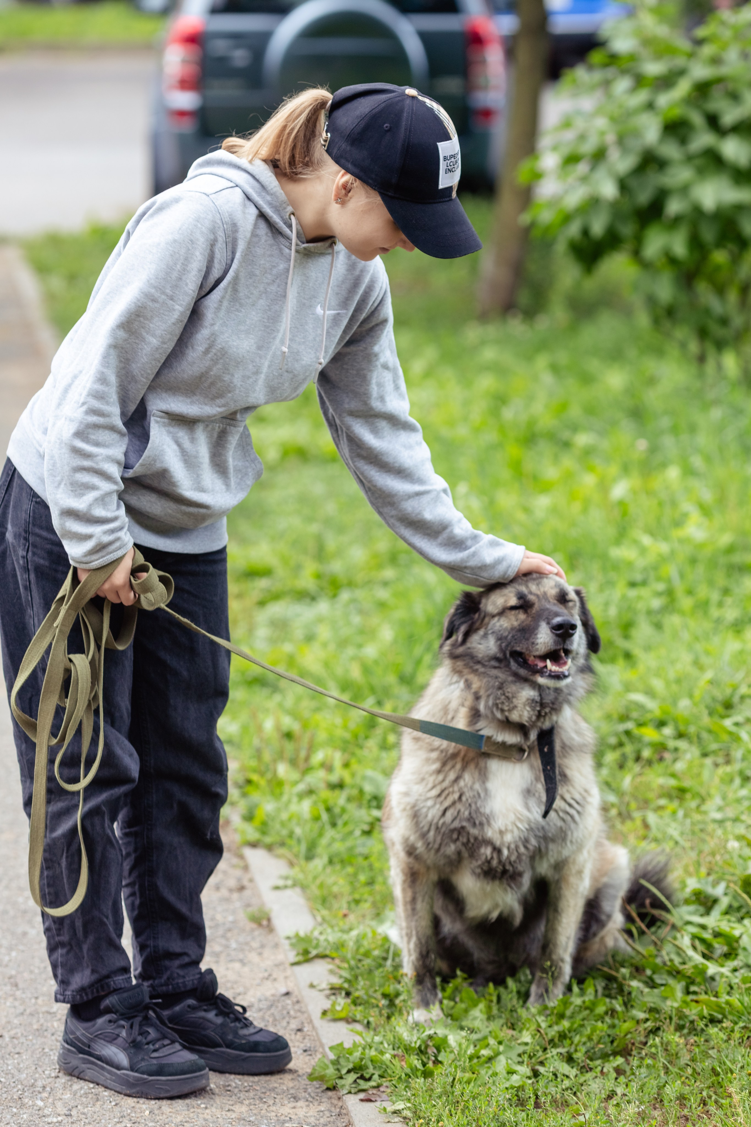 Petshop Забота. Фотограф в Санкт-Петербурге Чумаков Семен