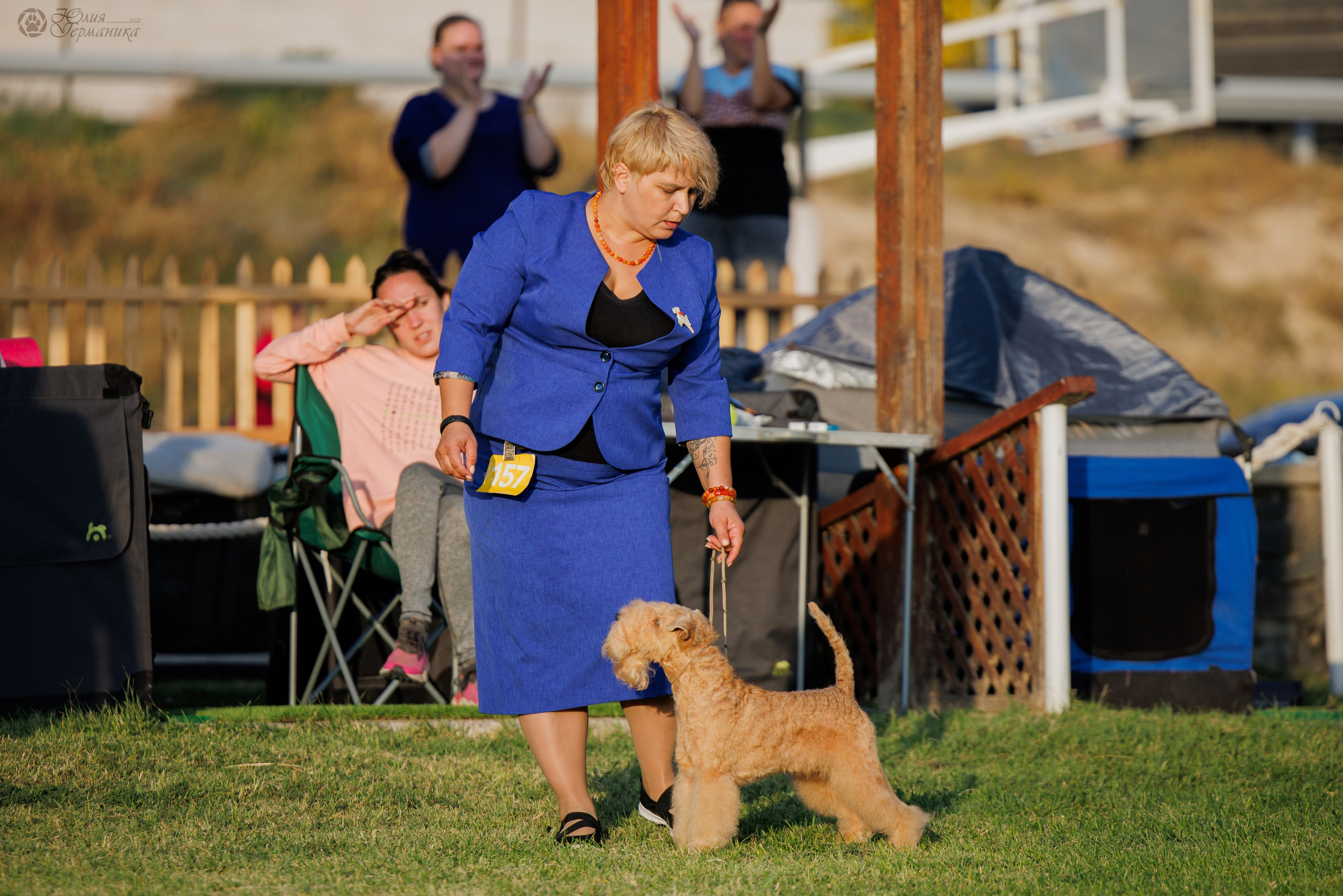 Армения,Ереван 3хCACIB 15-17.10.2024. Фотограф-анималист Юлия Германика