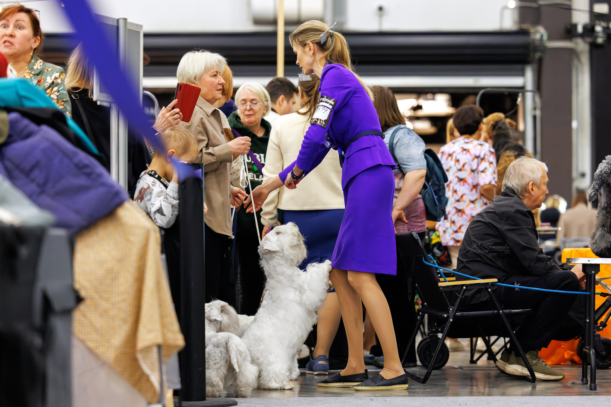 Питер 12-13.12.2025. Фотограф-анималист Юлия Германика