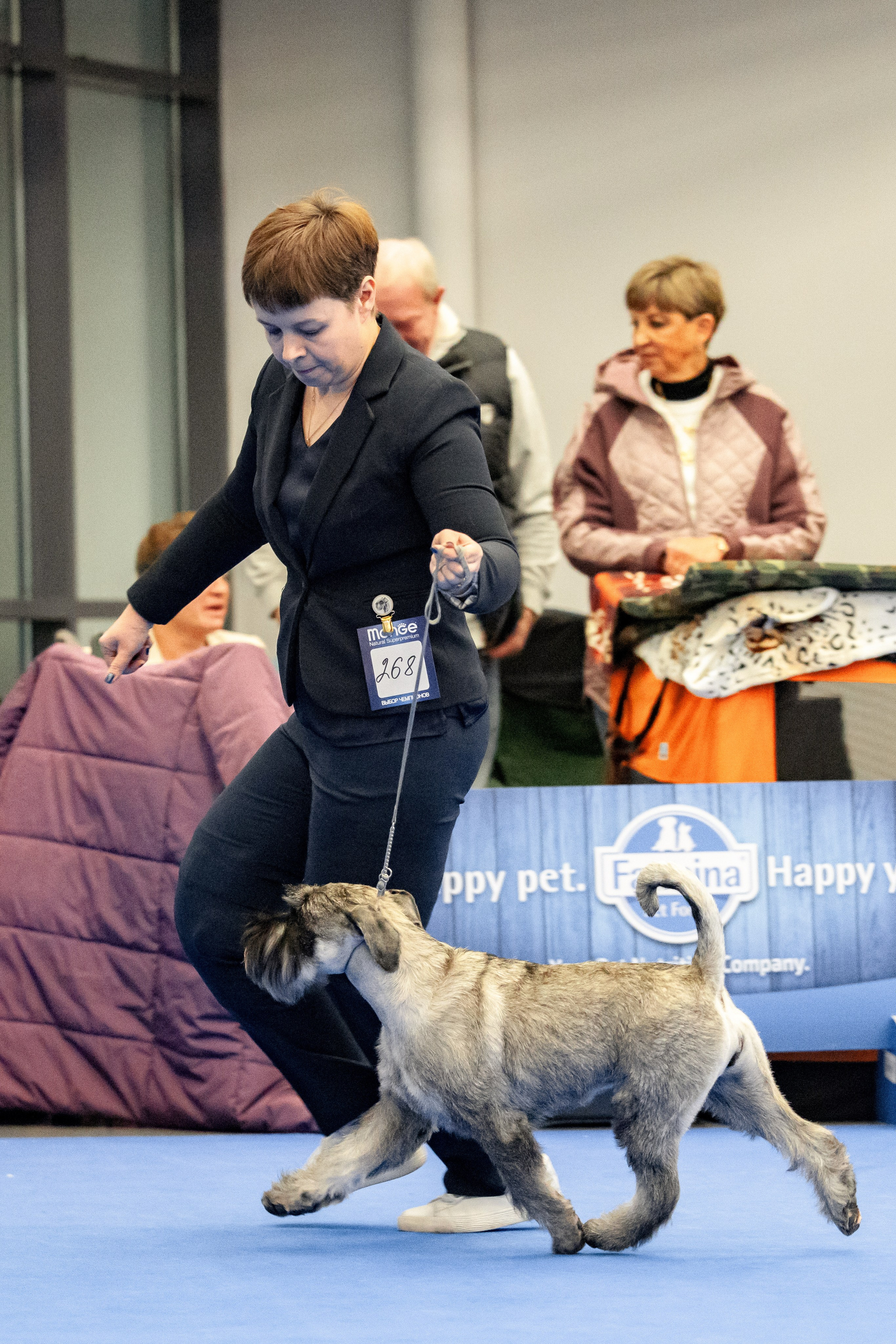 Нижний Новгород 21-22.10.2023. Фотограф-анималист Юлия Германика