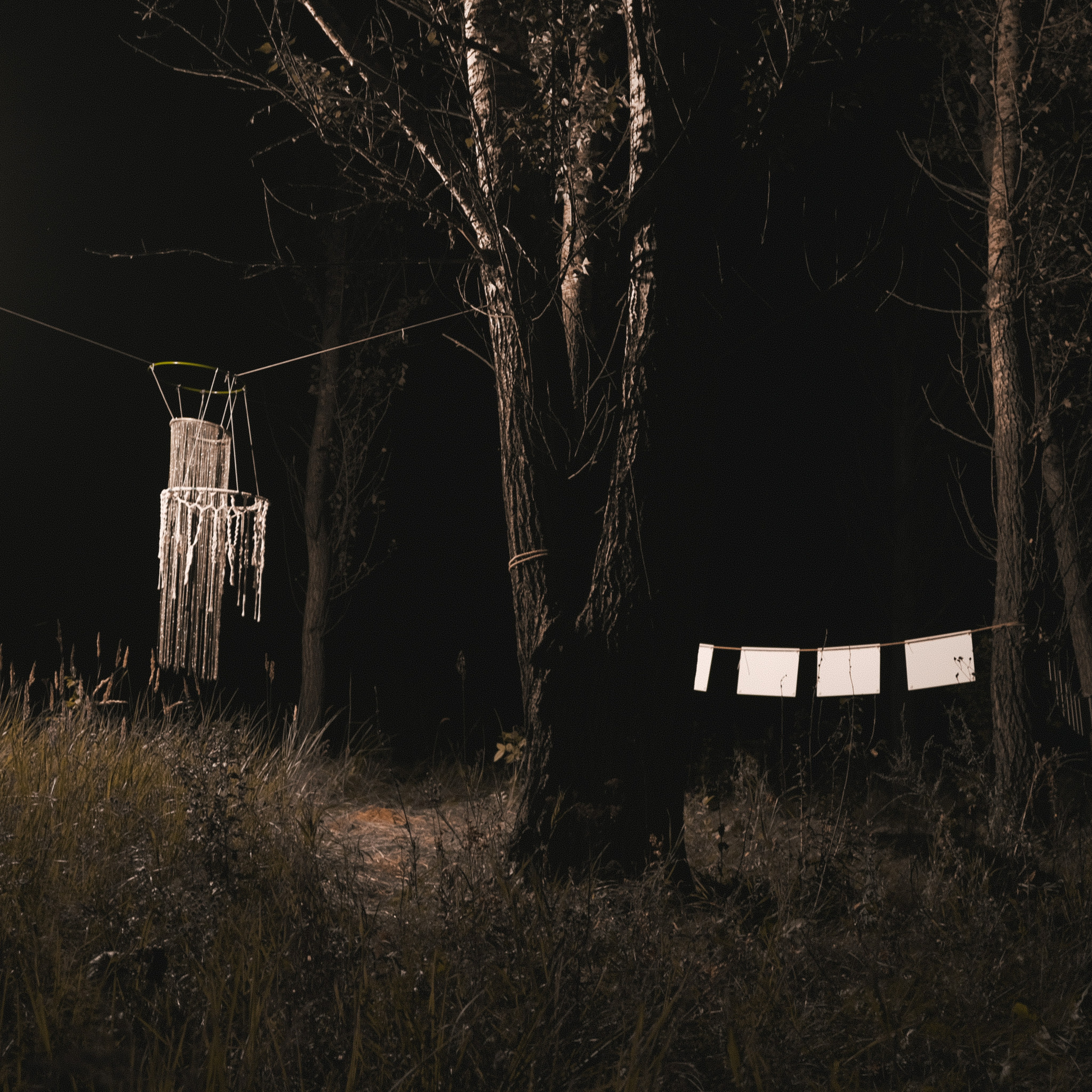 Эко-фестиваль АртЛуга 2022. LIYALEE PHOTO