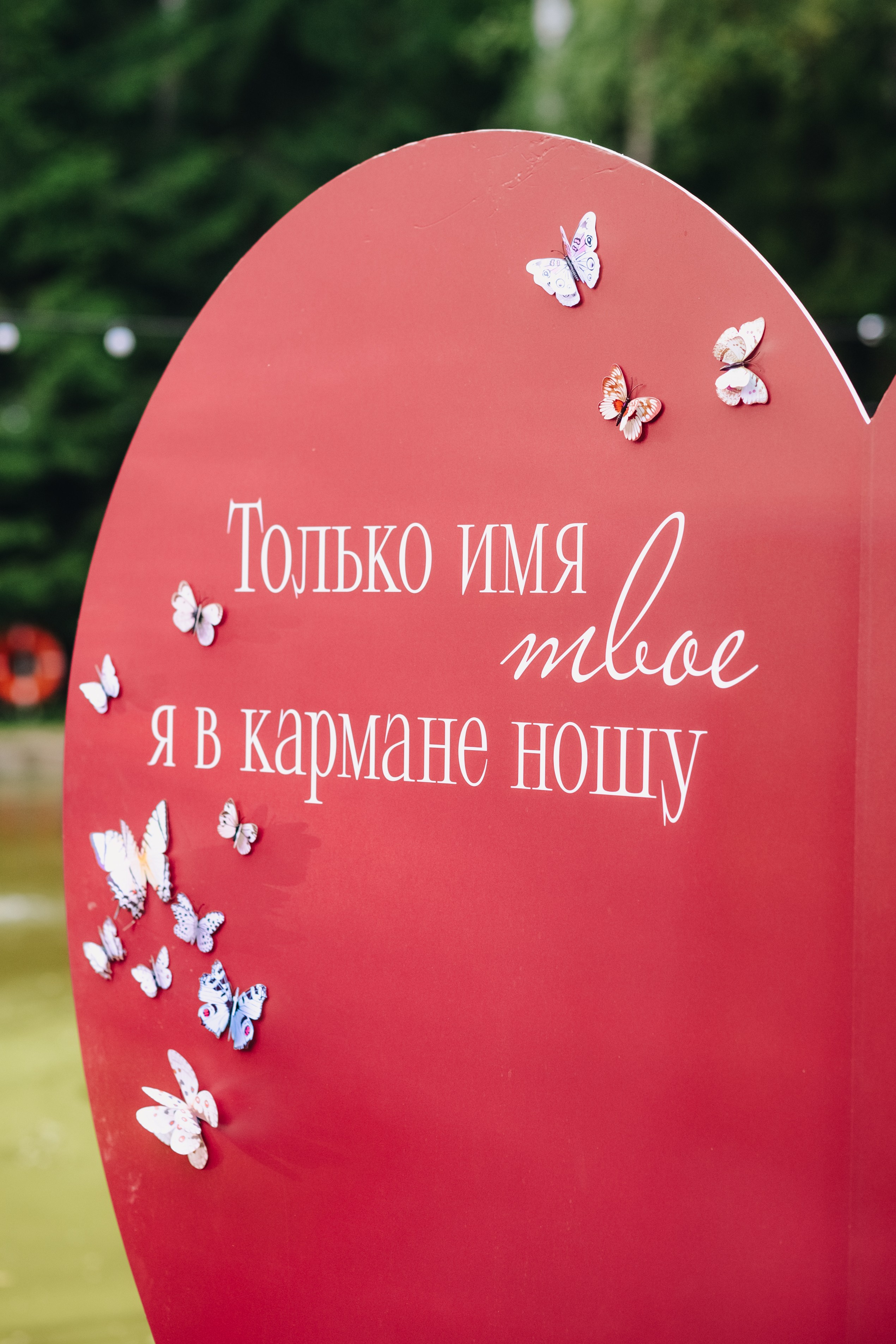 Фестиваль музыки Signon Open Air Fest