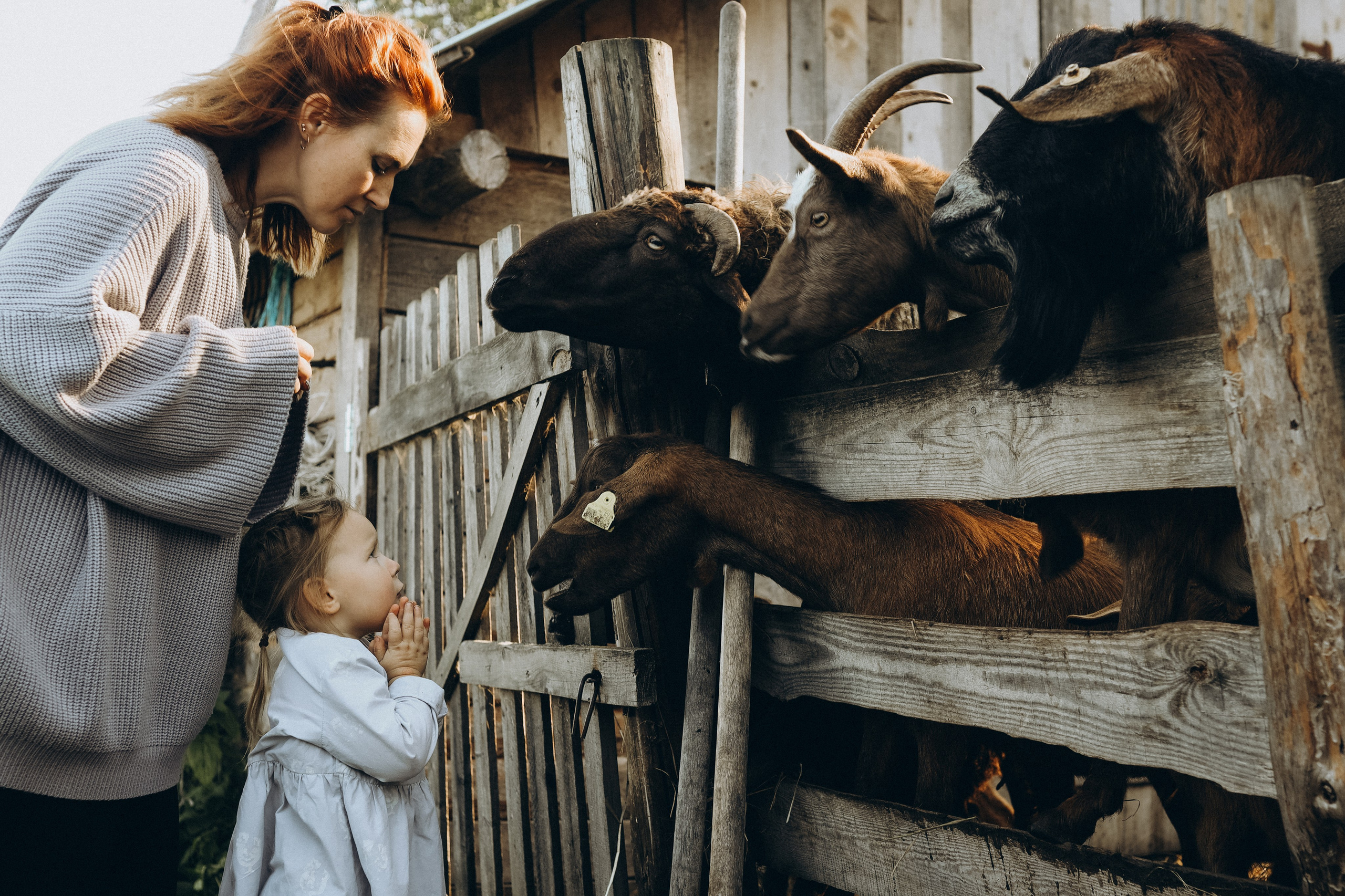 Семейный лайф. Фотограф Чучалина Елена