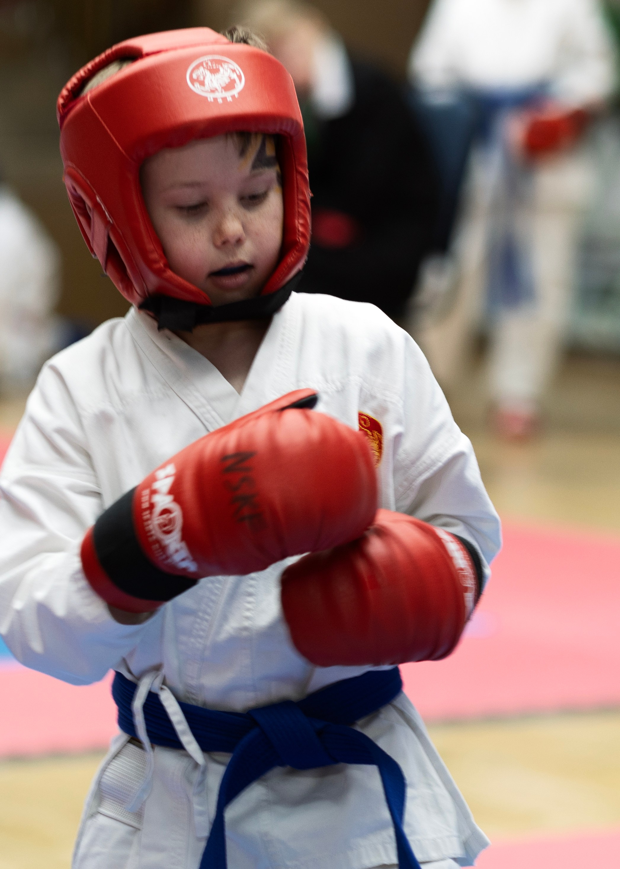 Фото турнира по Тхеквондо, проводимого в г. Железноводске. Медиапродюсер, фотограф в Минеральных Водах —Виктор Холодов
