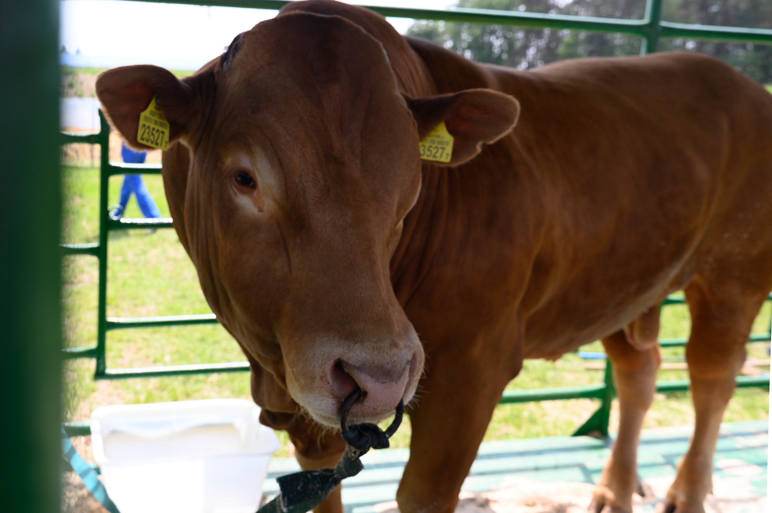 Агровыставка. Фотоуслуги, услуги фотографа, фотографирование важных событий