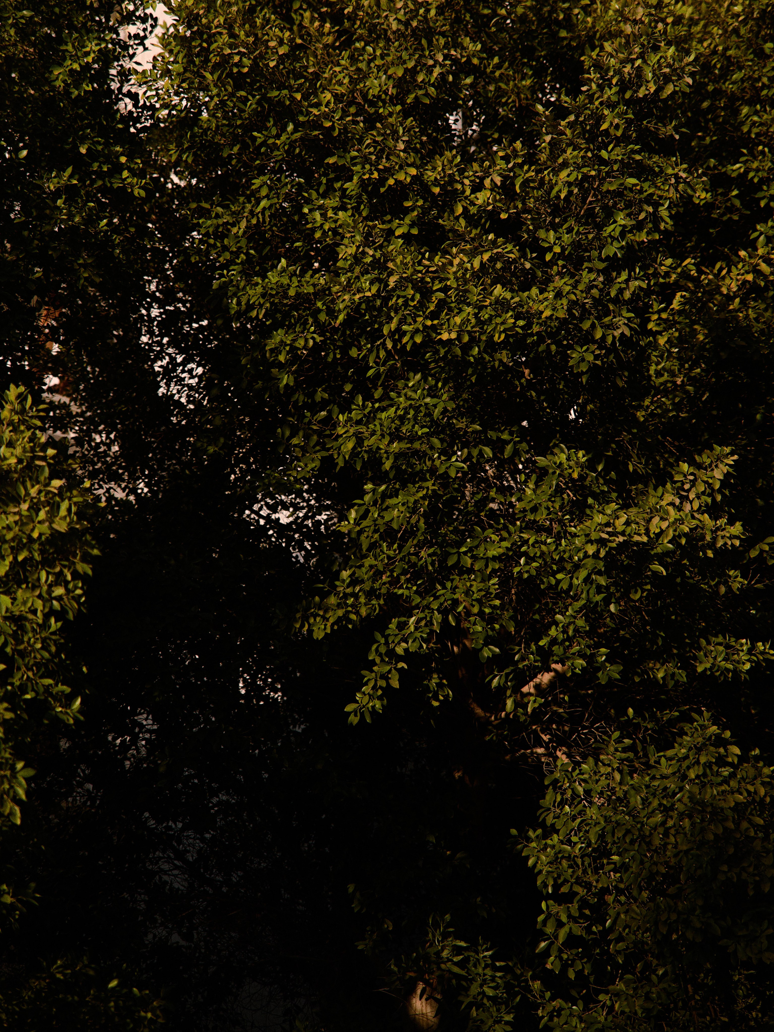 Природа. Jorgis Talè — photographer, kind person, teacher of arts and other mag