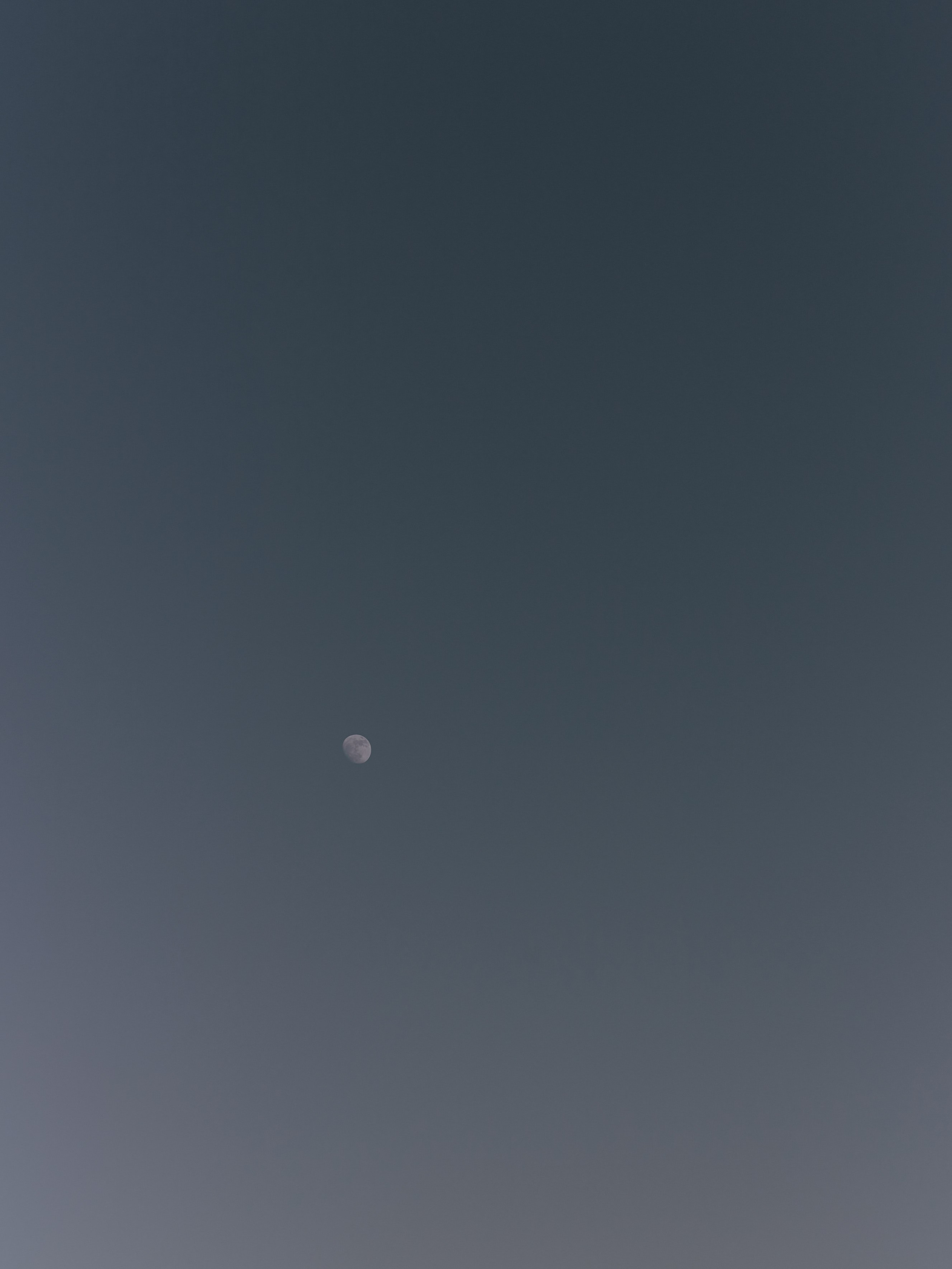 Природа. Jorgis Talè — photographer, kind person, teacher of arts and other mag