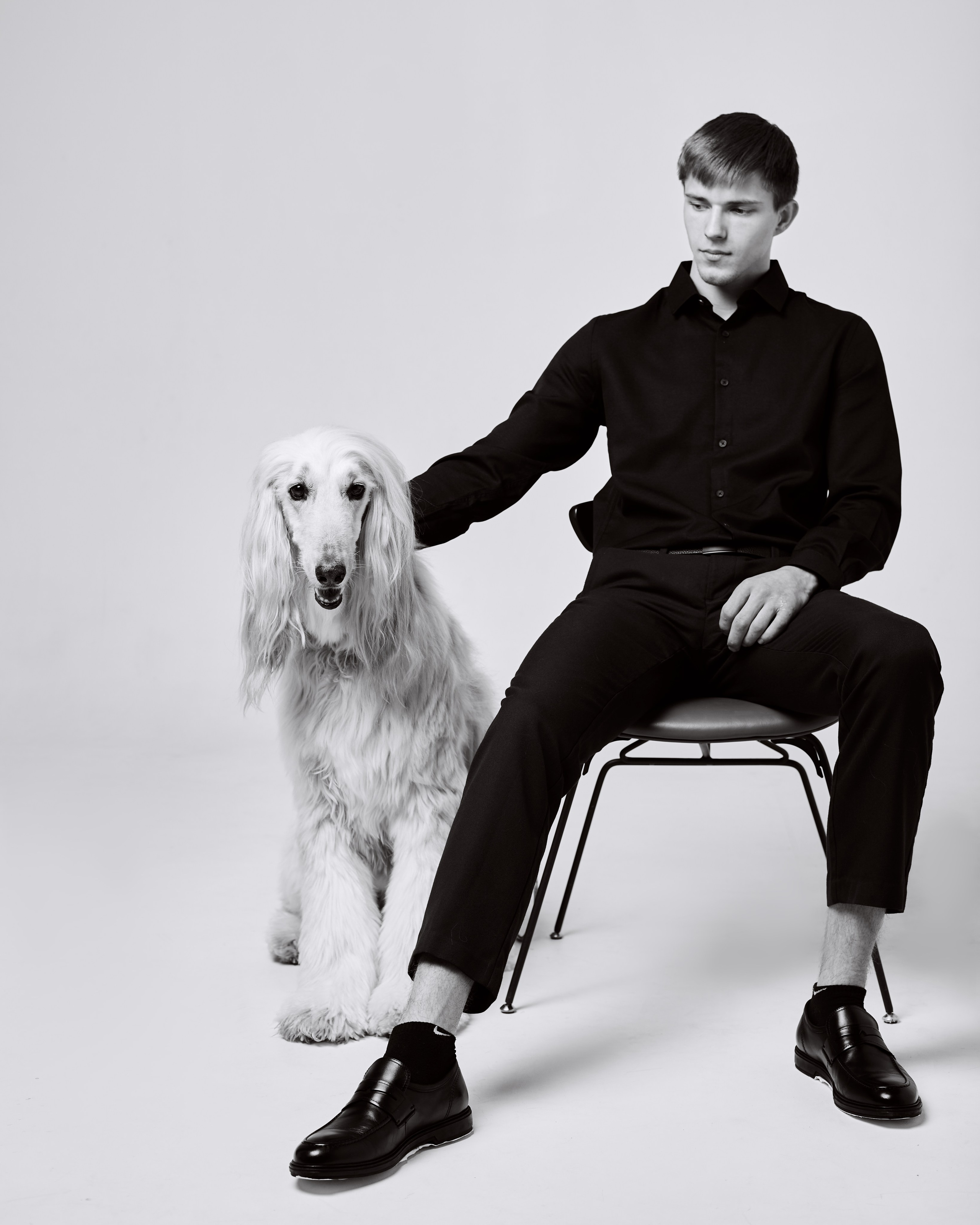 Собаки и люди