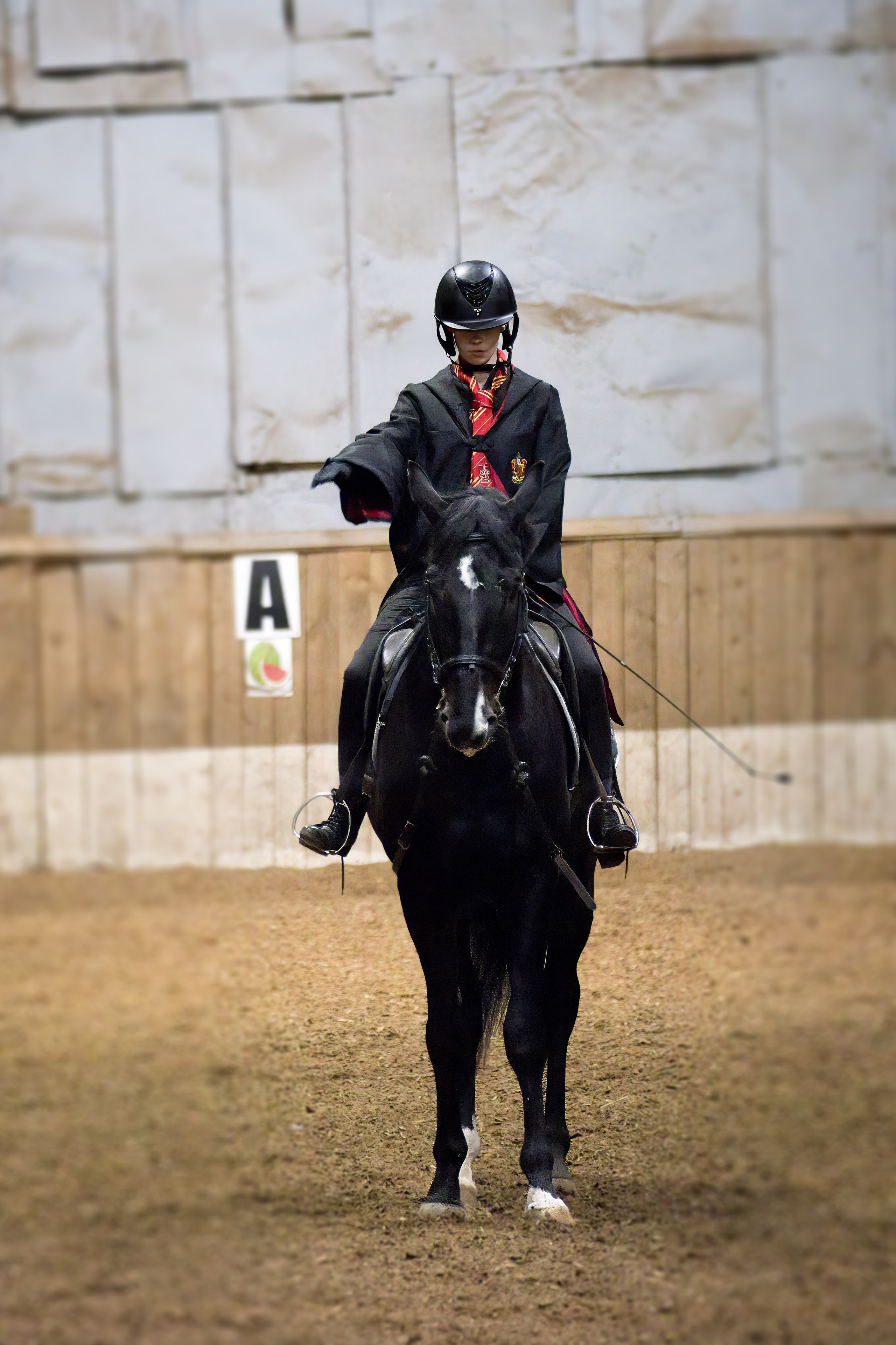 Волшебный турнир в Конно-спортивном клубе «АЛЛЮР» Нижний Новгород. Добро пожаловать в студию «Цифровой скульптор»  где искусство встречается с технологиями!