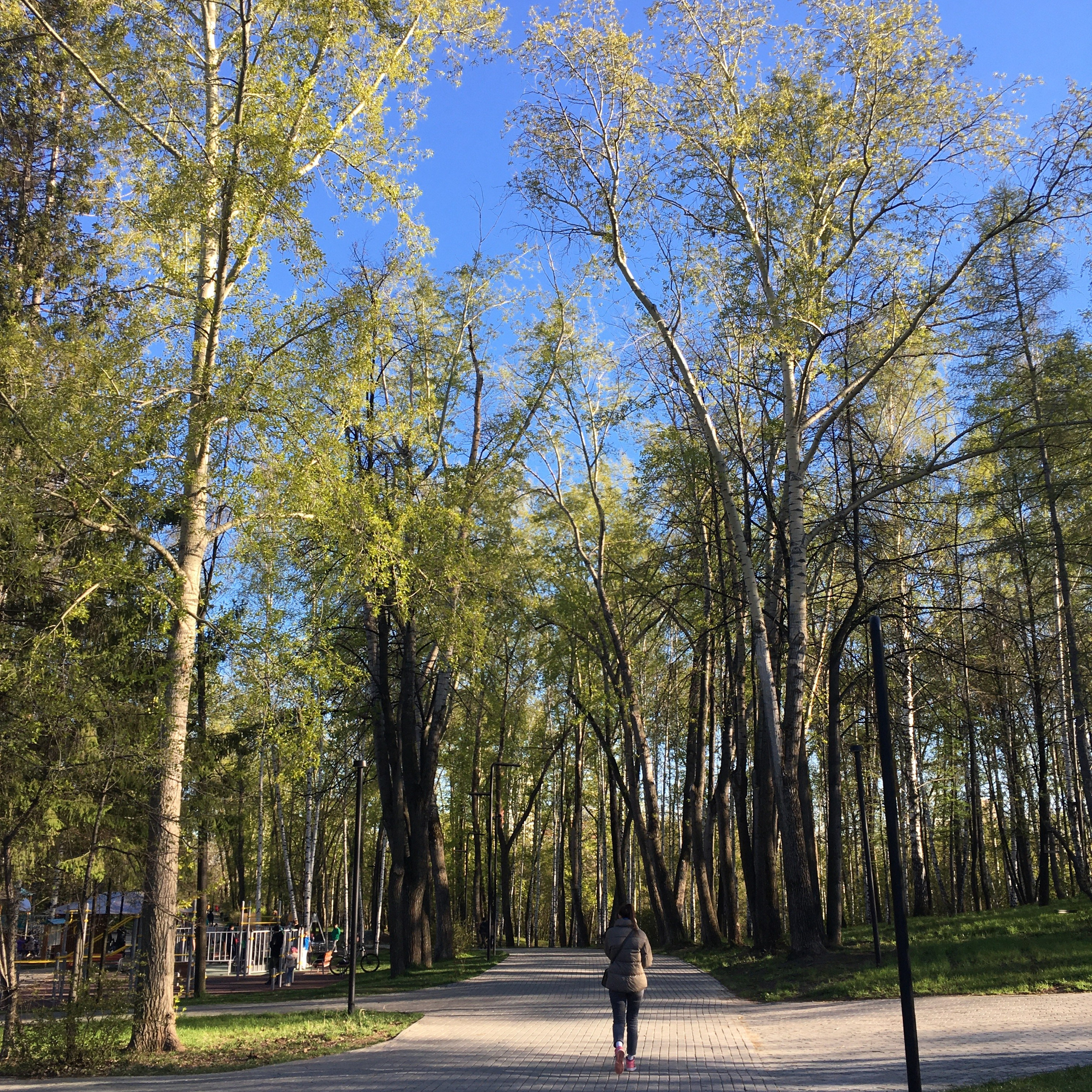 Солнечный. Фотограф в Санкт-Петербурге Березовский Даниил