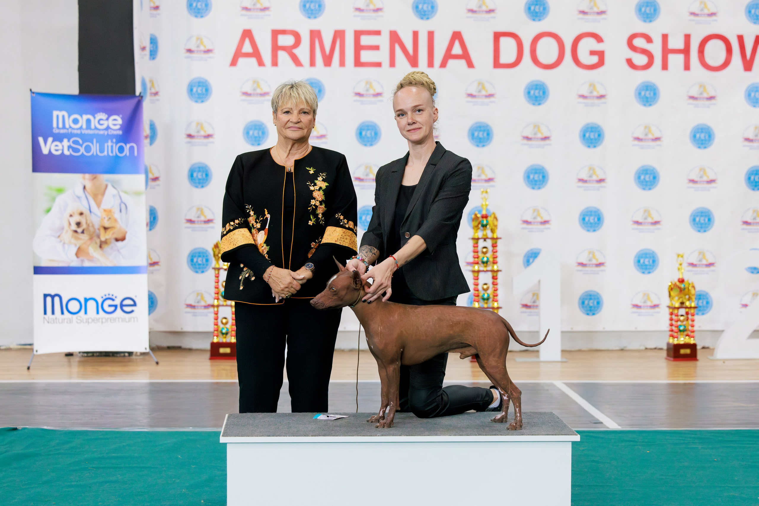 Ереван 2х CACIB 29-30.04.2025. Фотограф-анималист Юлия Германика