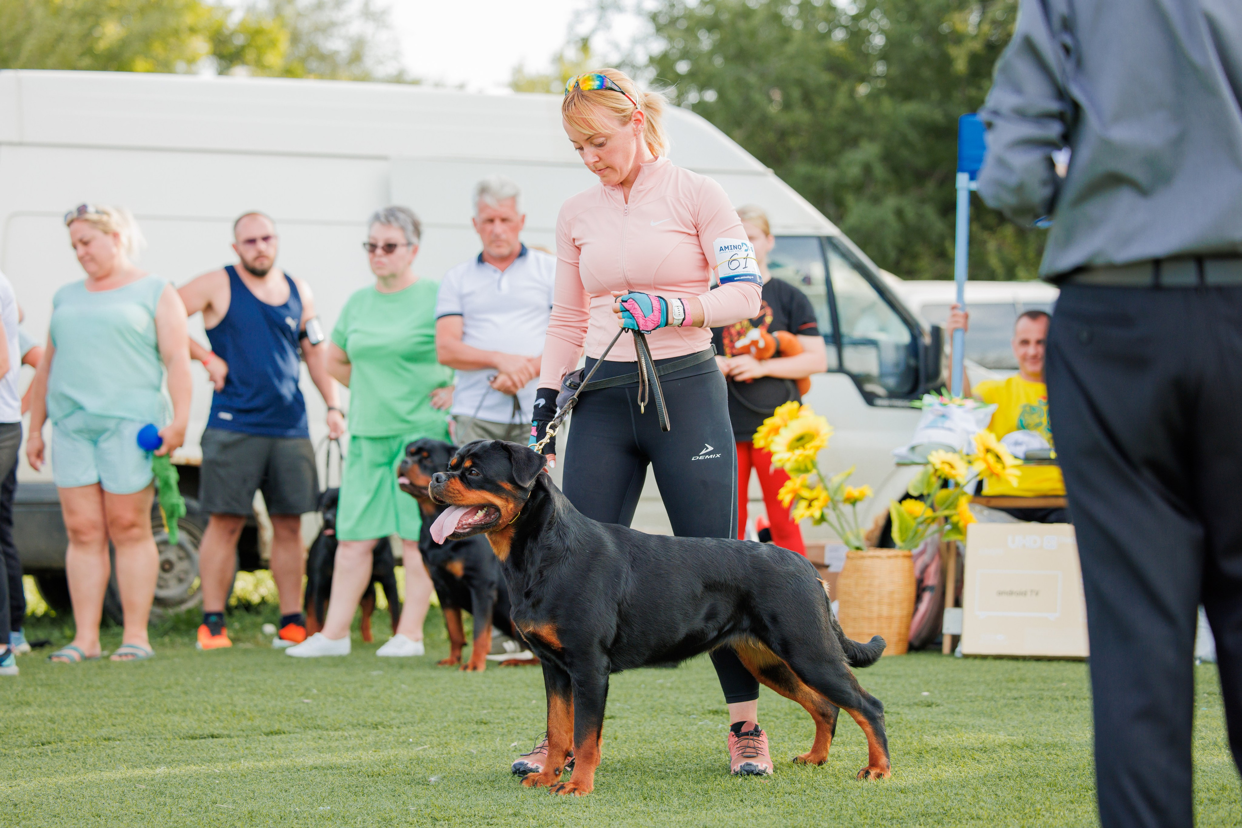 Анапа ротвейлеры 14-15.09.2024. Фотограф-анималист Юлия Германика