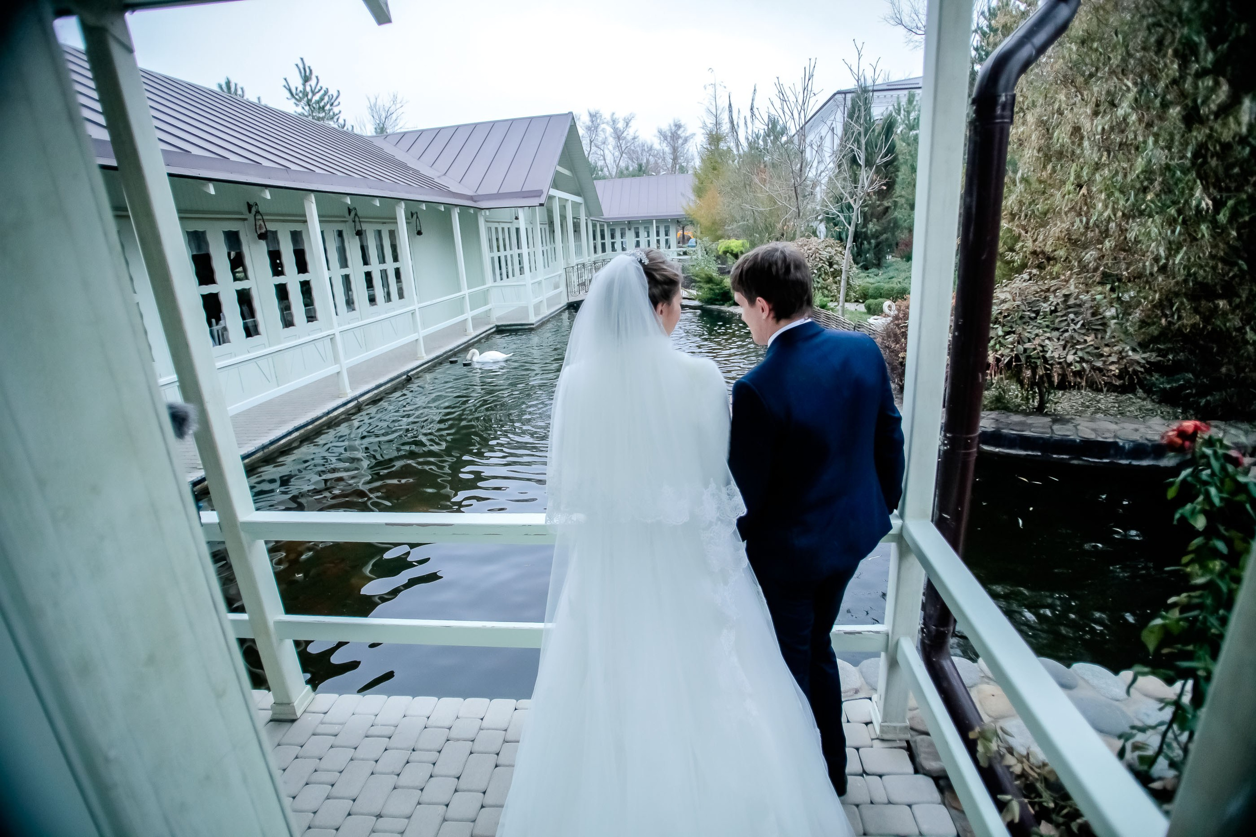 Прогулка/Walk. Максим Матвийченко и Виктория Басова профессионалы своего дела