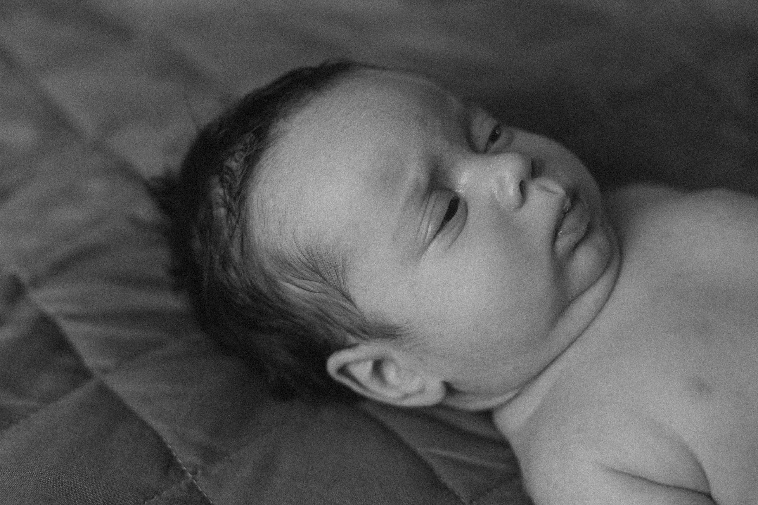 Появление брата. Фотограф из Петербурга